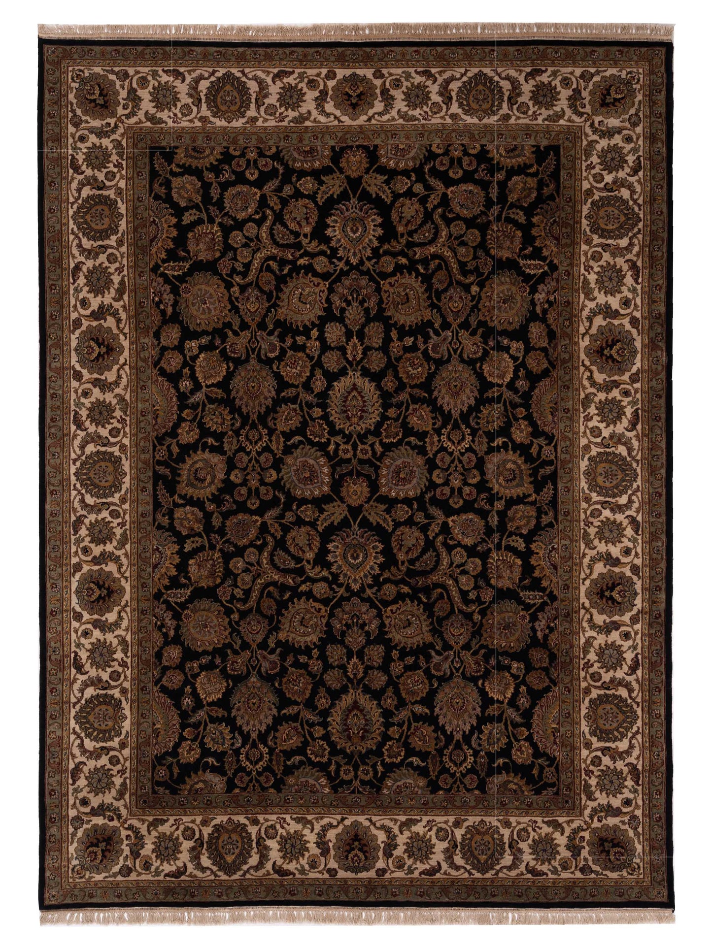 Rajpur Crown Black Ivory Transitional