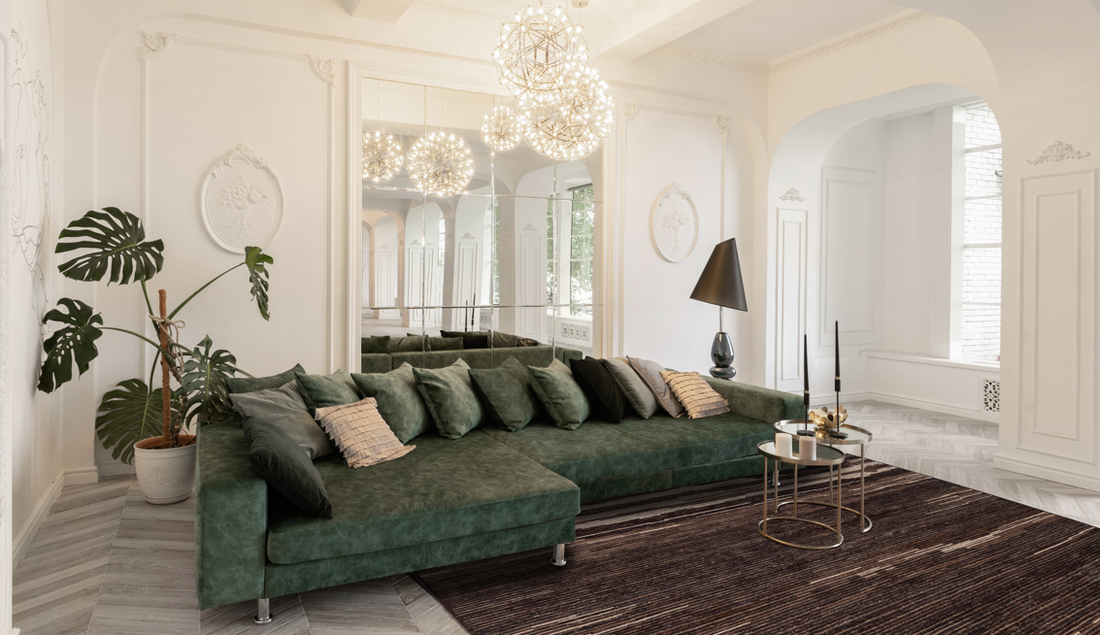 Hand Knotted Hand Made Contemporary Modern Area Rug in the Living Room