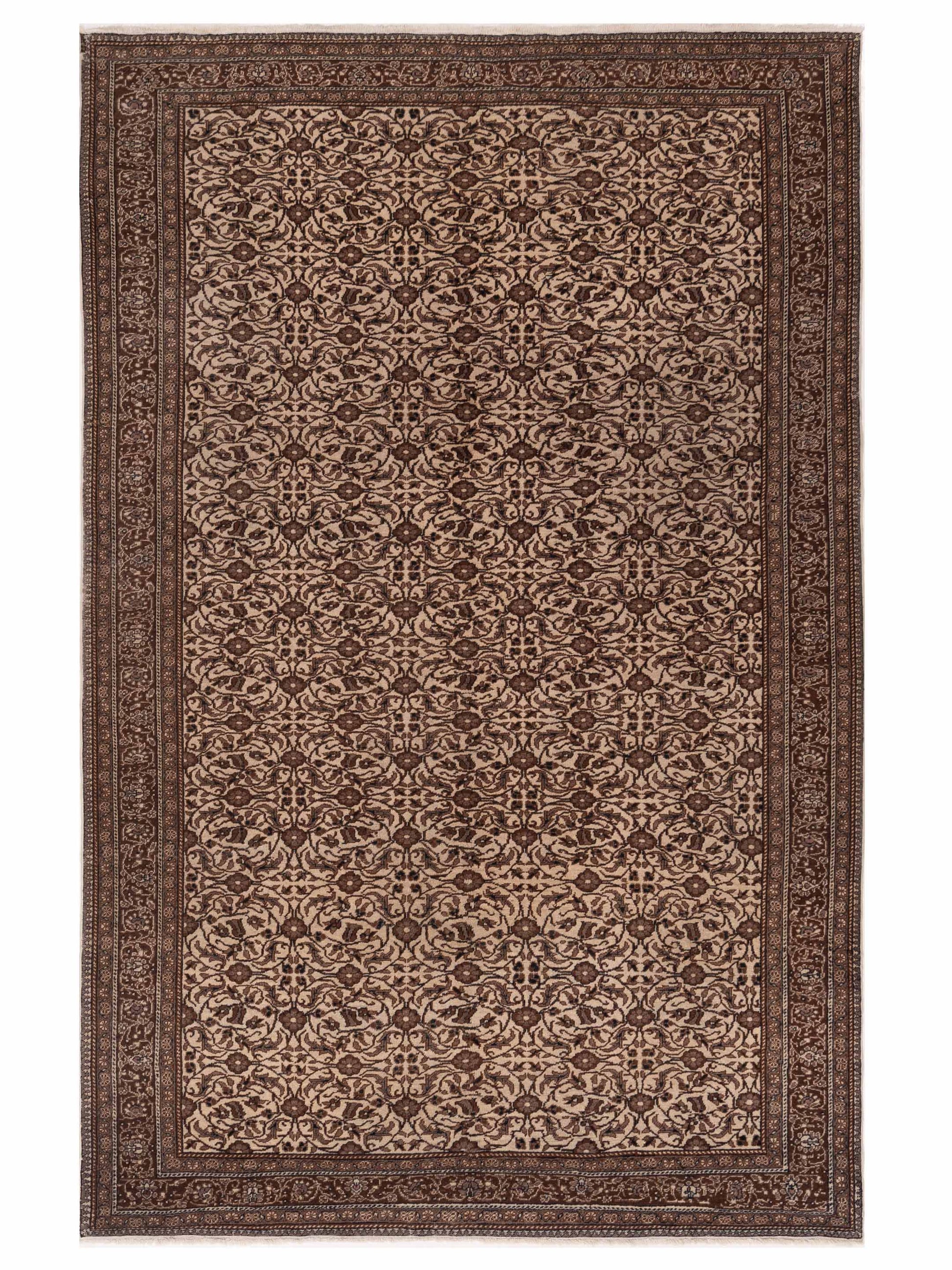 Rajpur Sivas  Ivory Brown Traditional