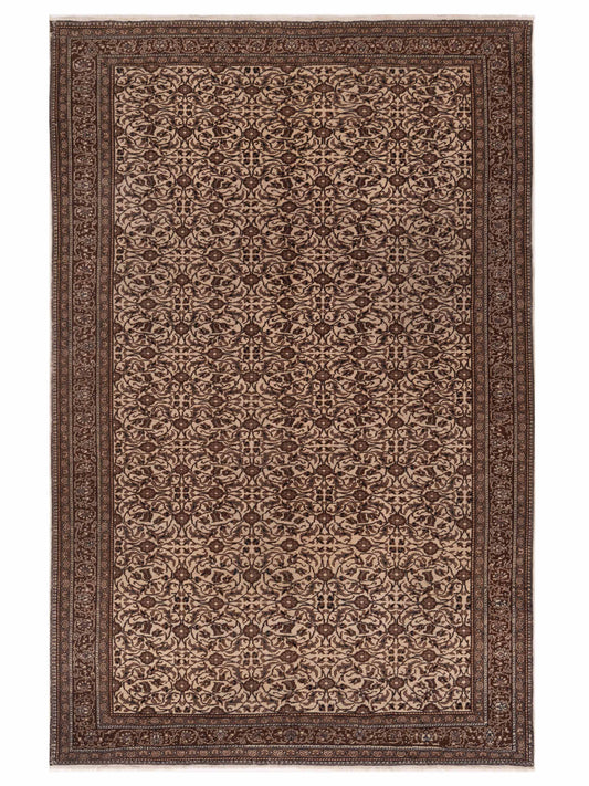 Rajpur Sivas  Ivory Brown Traditional