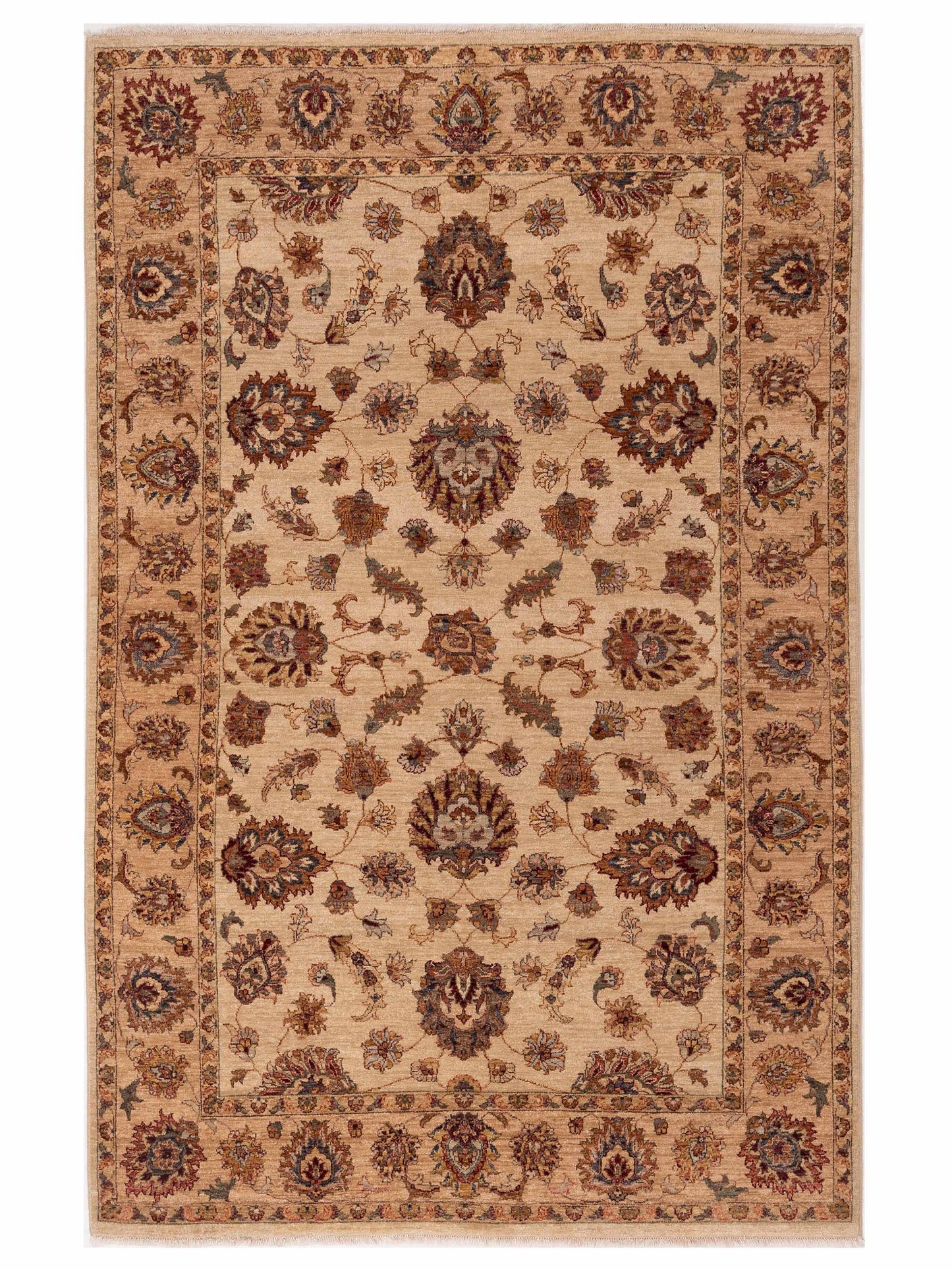Ghazani 89585 Ivory Gold 6x9 Hand Knotted Rug