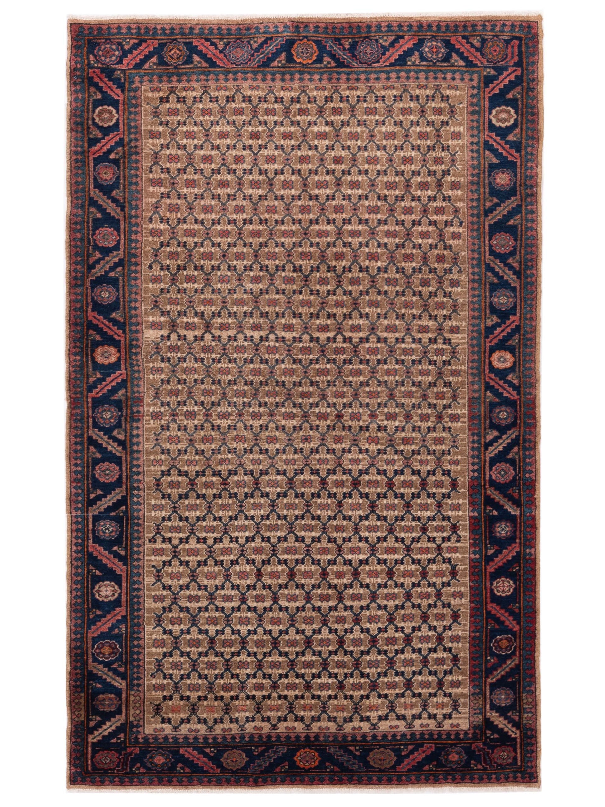 Pasha Antique Heirloom  Brown Blue Traditional
