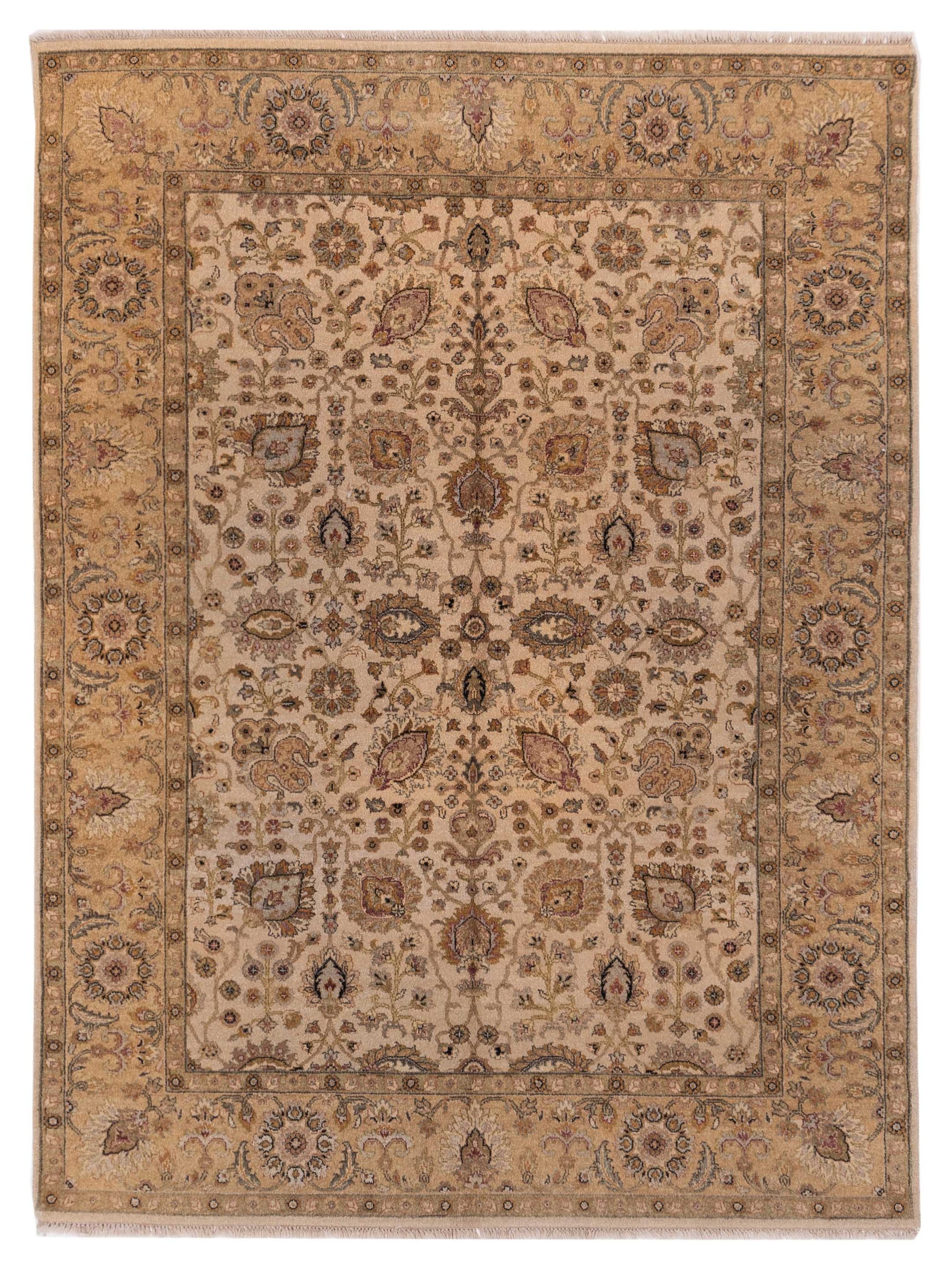 Rajpur Haji Jalili  Ivory Gold Transitional