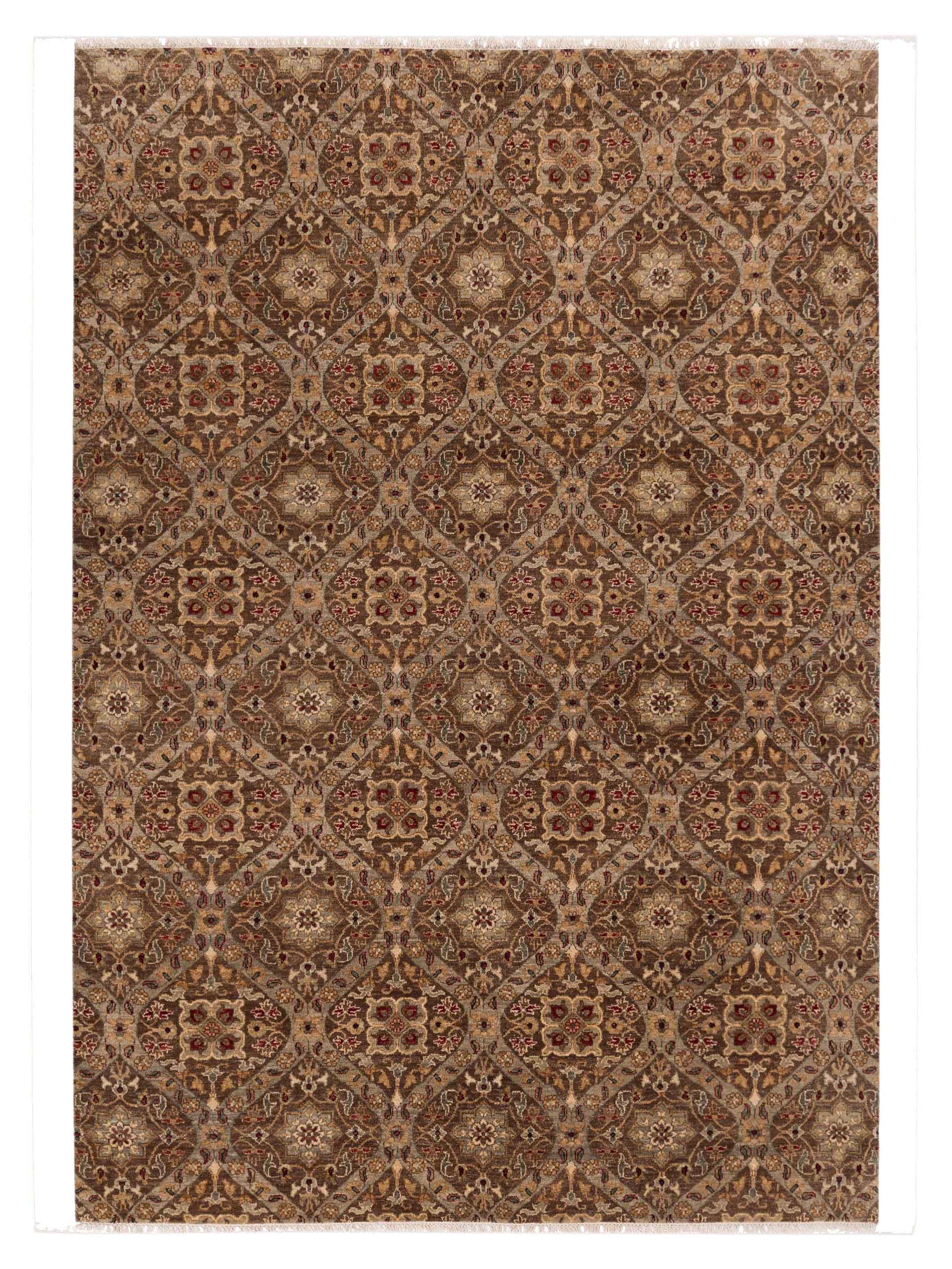 Rajpur Haji Jalili  Brown Brown Transitional