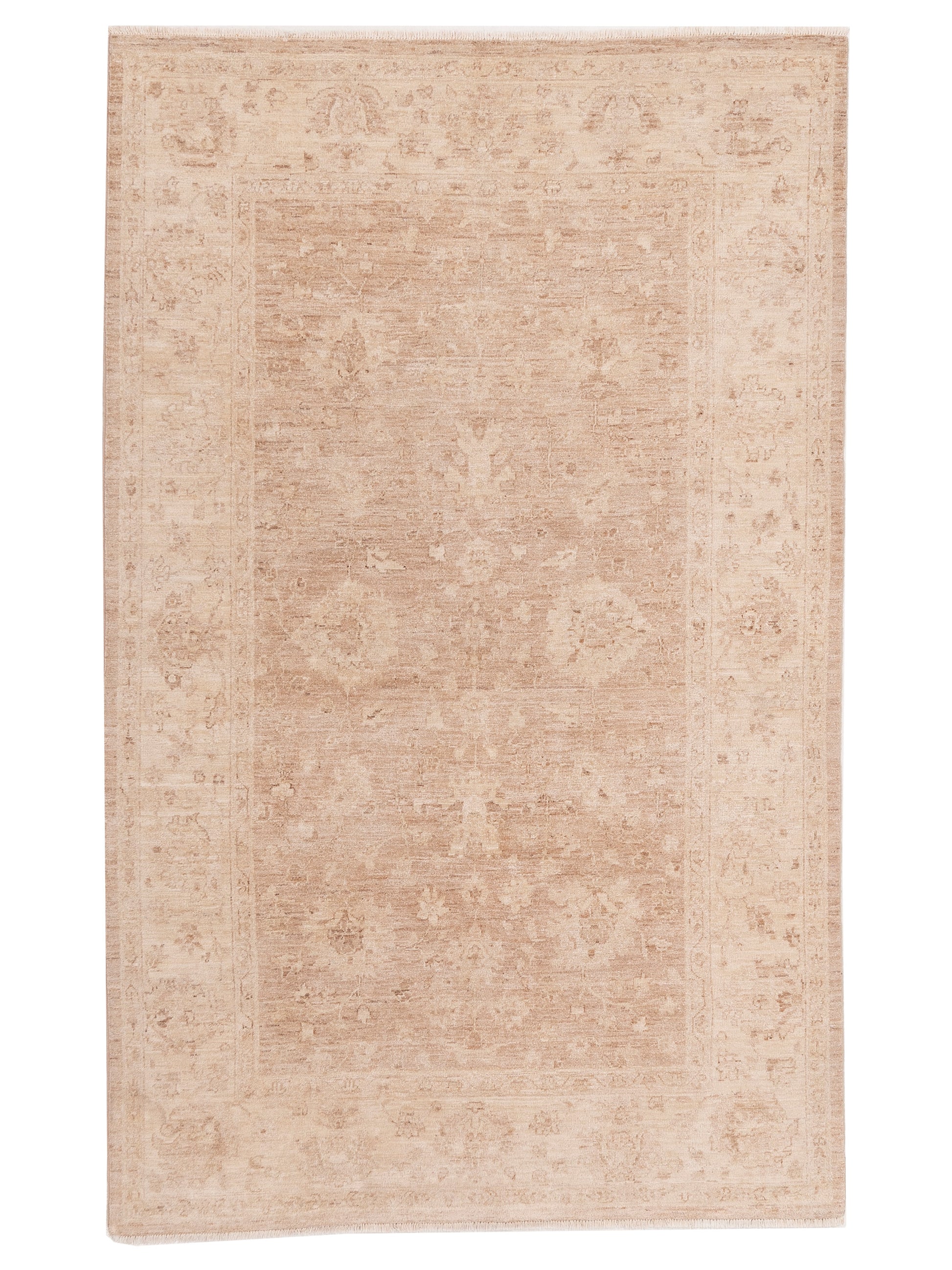 Nomad Laila  Brown Ivory Transitional