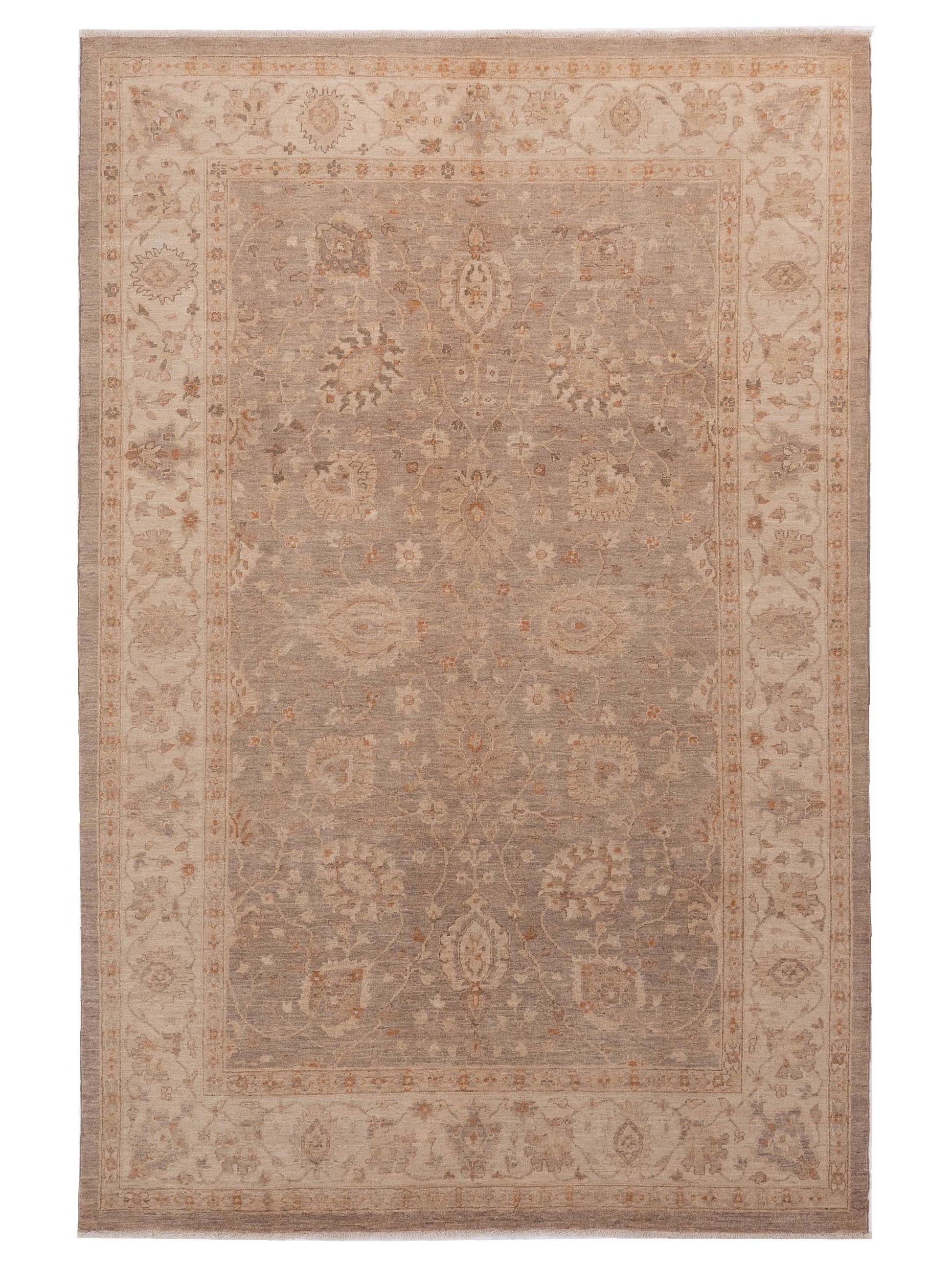 Nomad Laila  Silver Ivory Transitional