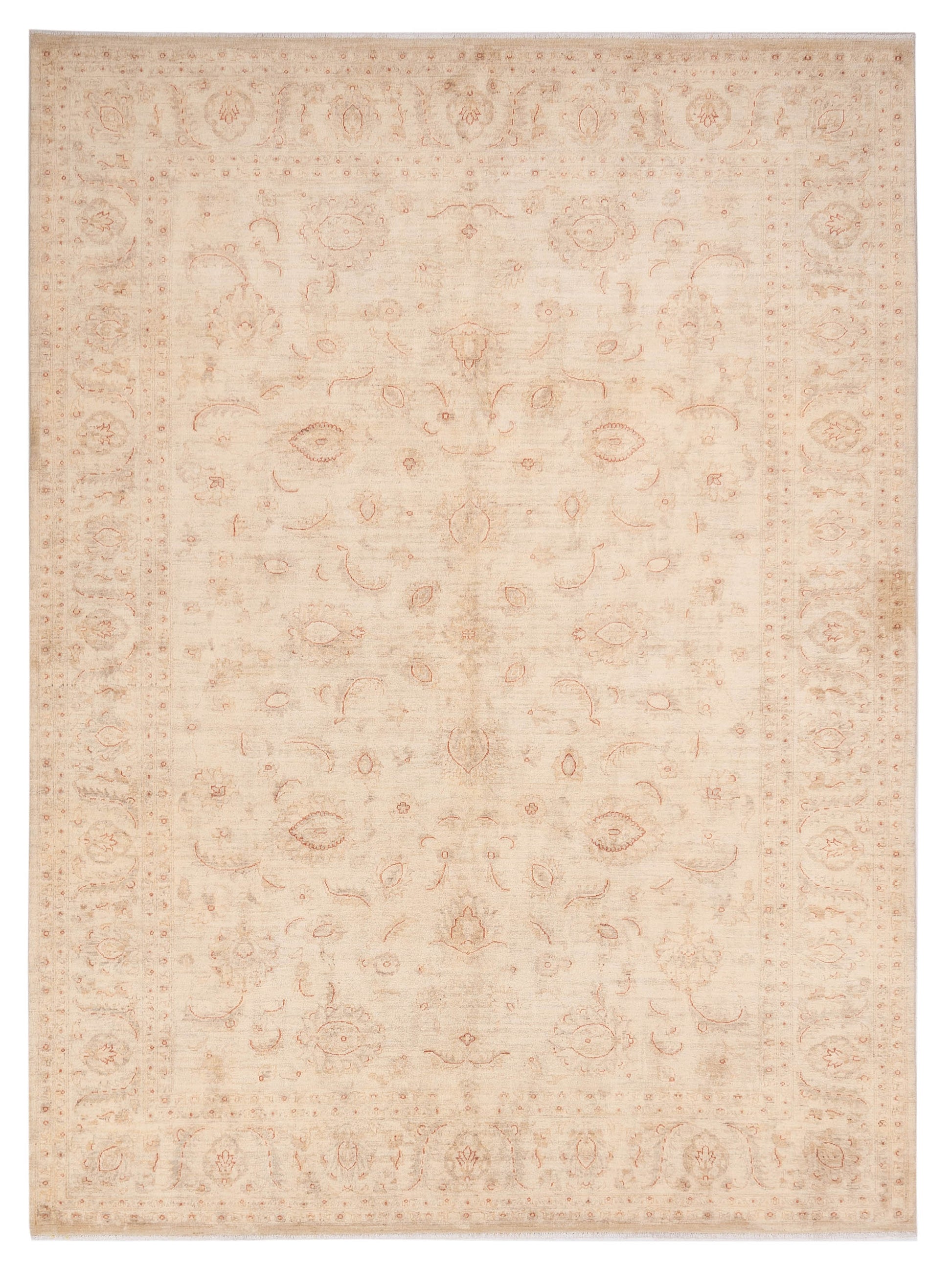 Pasha Sultan  Ivory Ivory Traditional