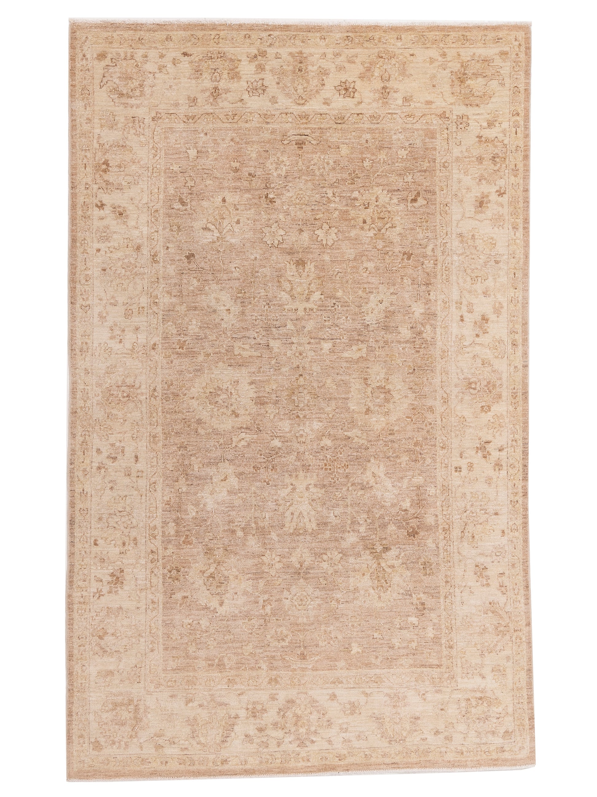 Nomad Laila  Brown Ivory Transitional