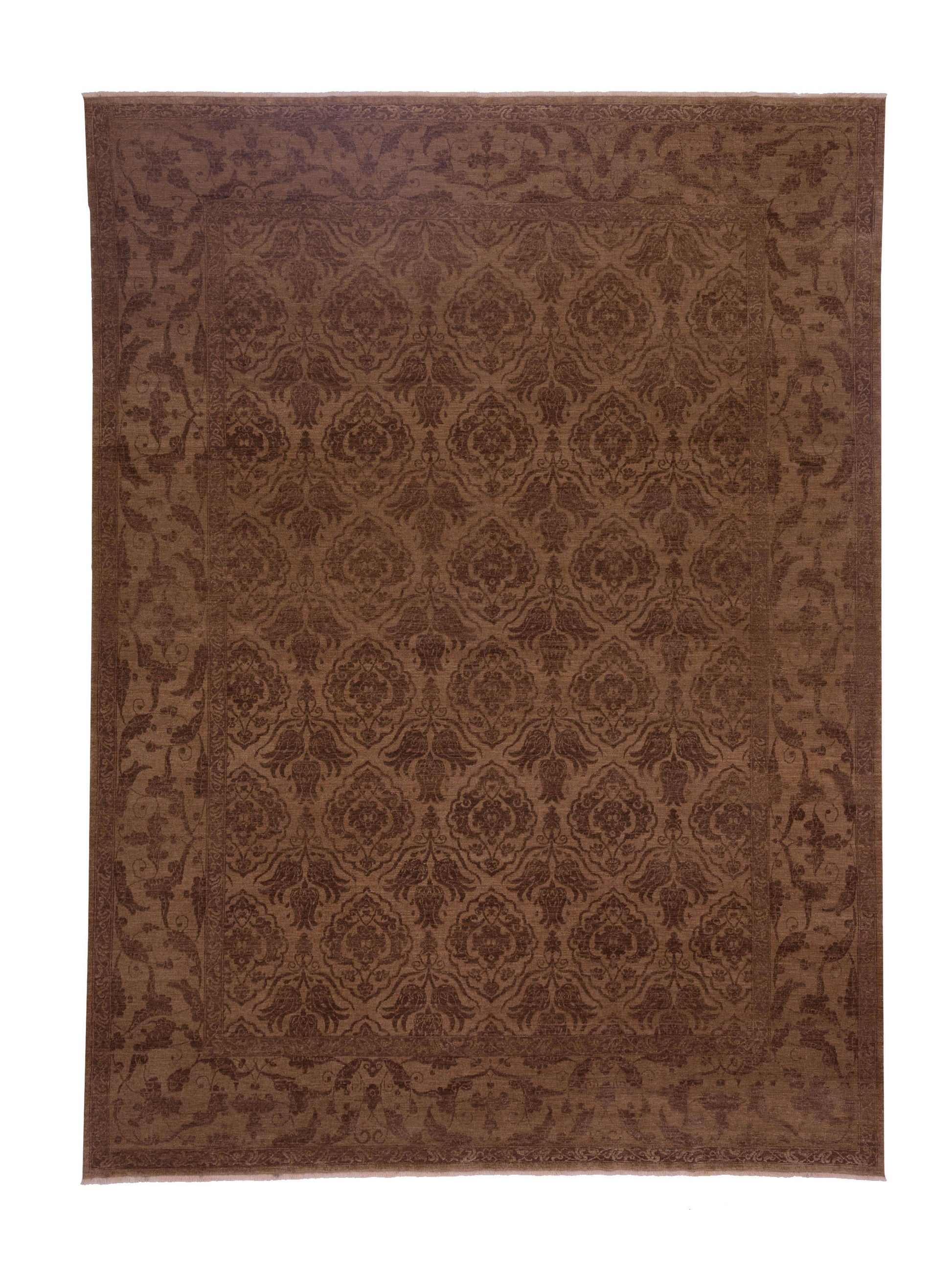 Pasha Defne  Brown Dark Brown Transitional