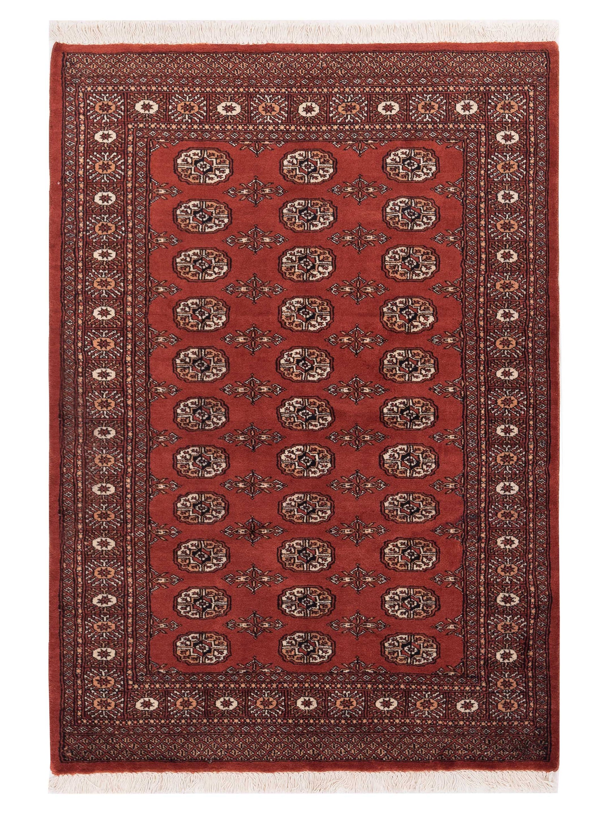 Nomad Bokhara  Rust  Traditional