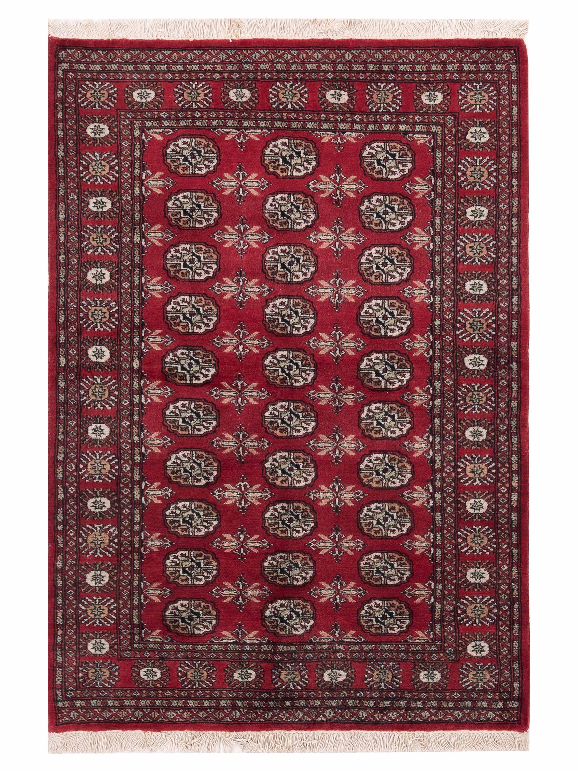 Nomad Bokhara  Red Red Traditional