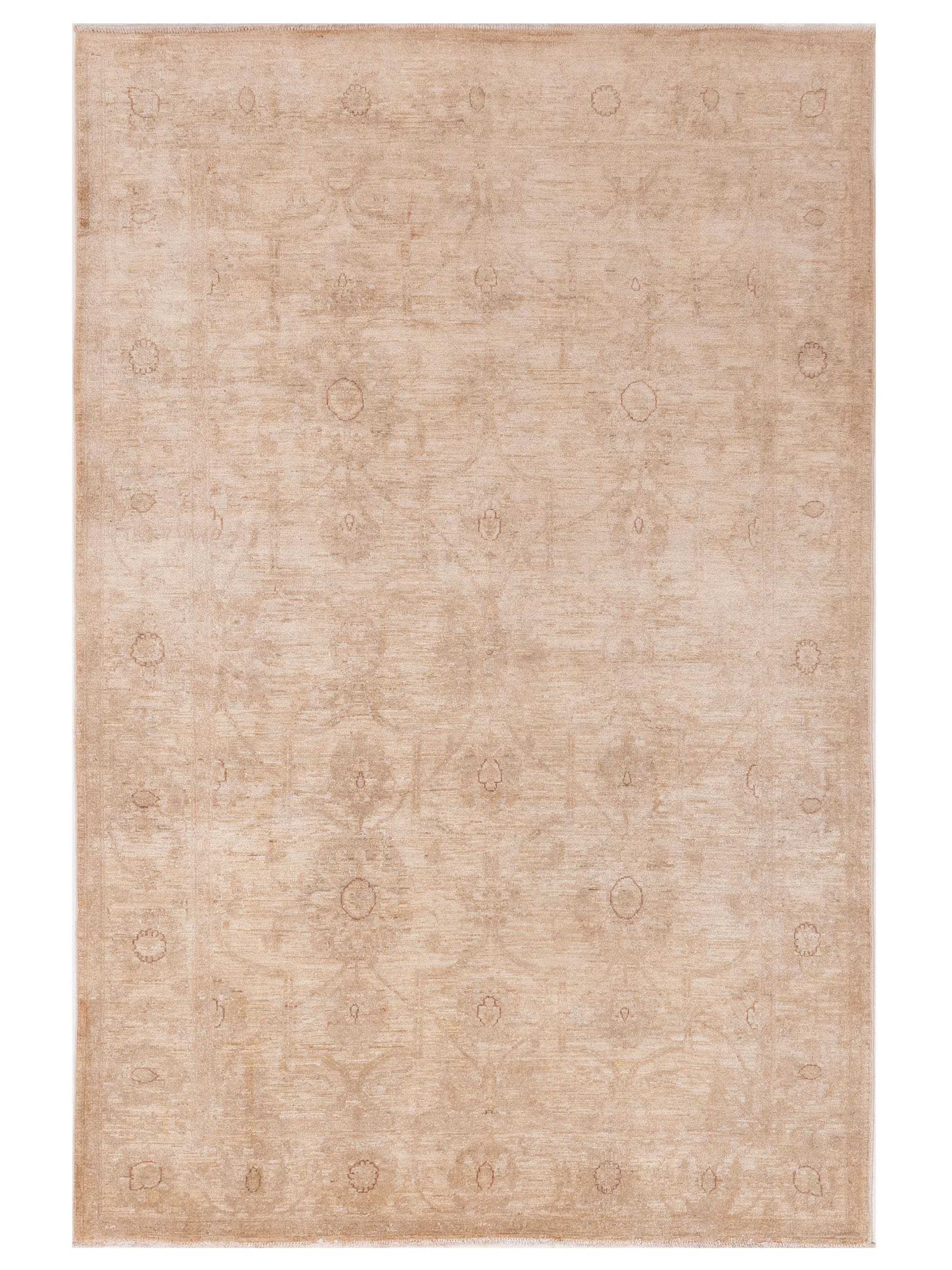 Pasha Sultan  Beige Beige Traditional