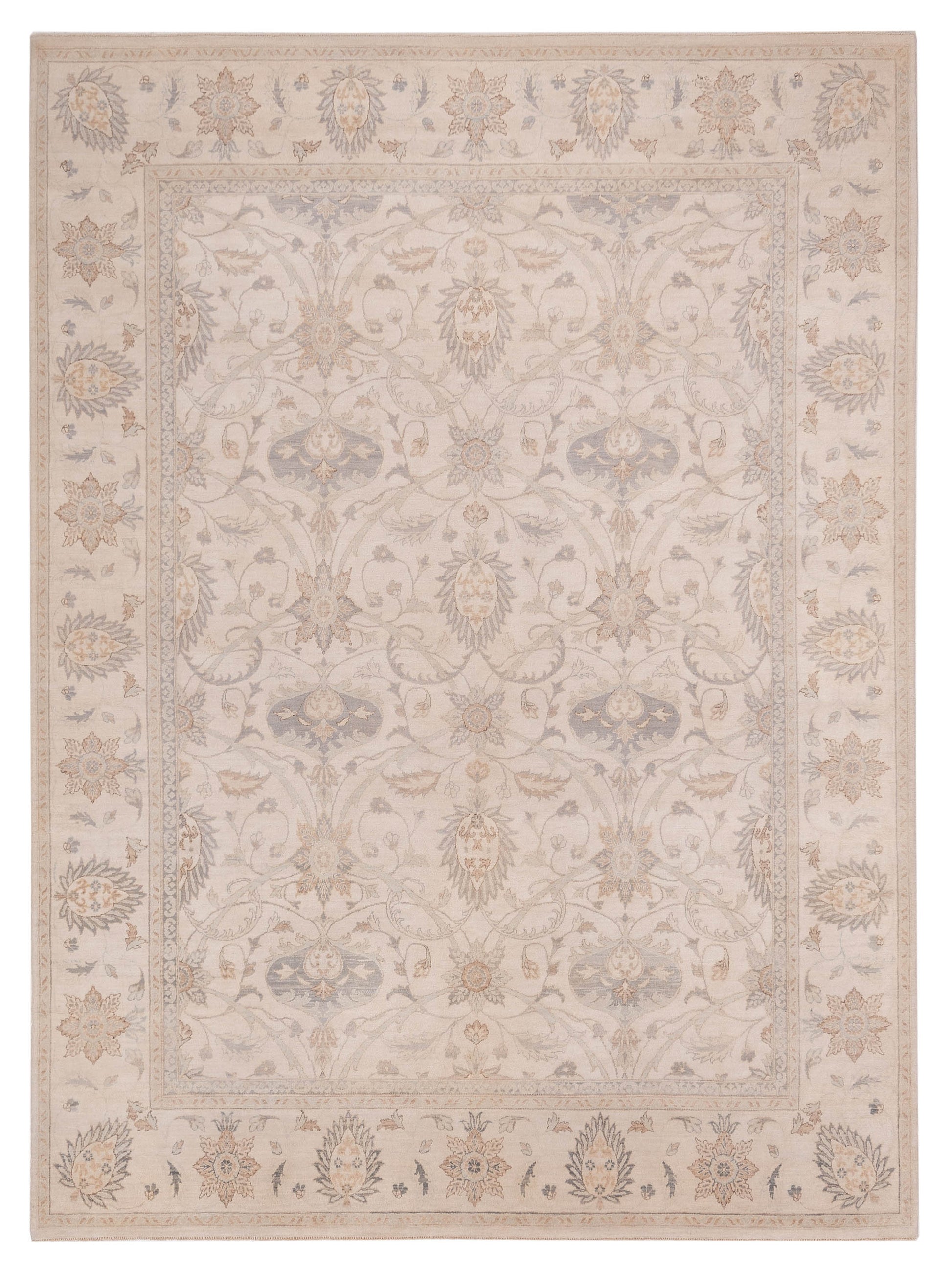 Rajpur Platinum  Ivory Ivory Traditional