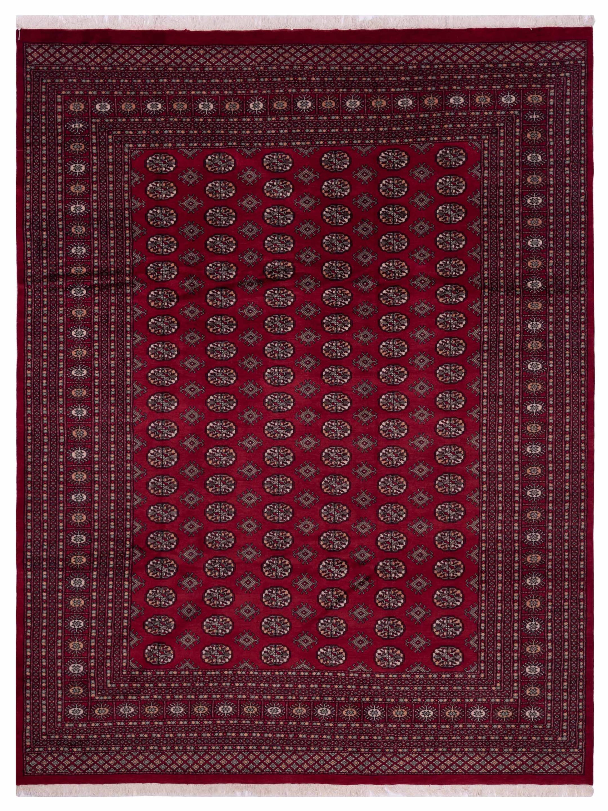 Nomad Bokhara  Red Red Traditional