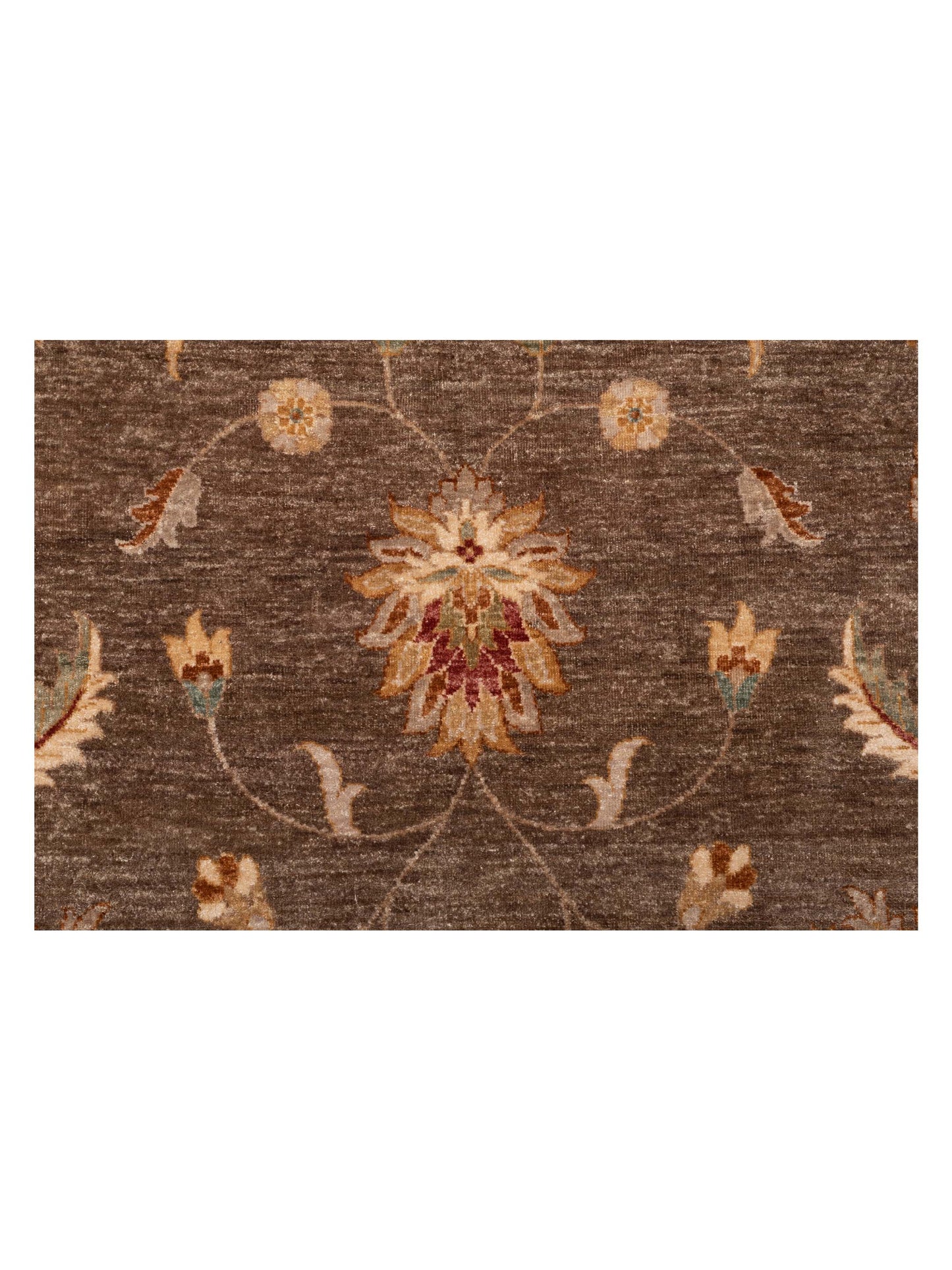 Ghazani 148316 Brown Ivory 8.11x11.10 Hand Knotted Rug