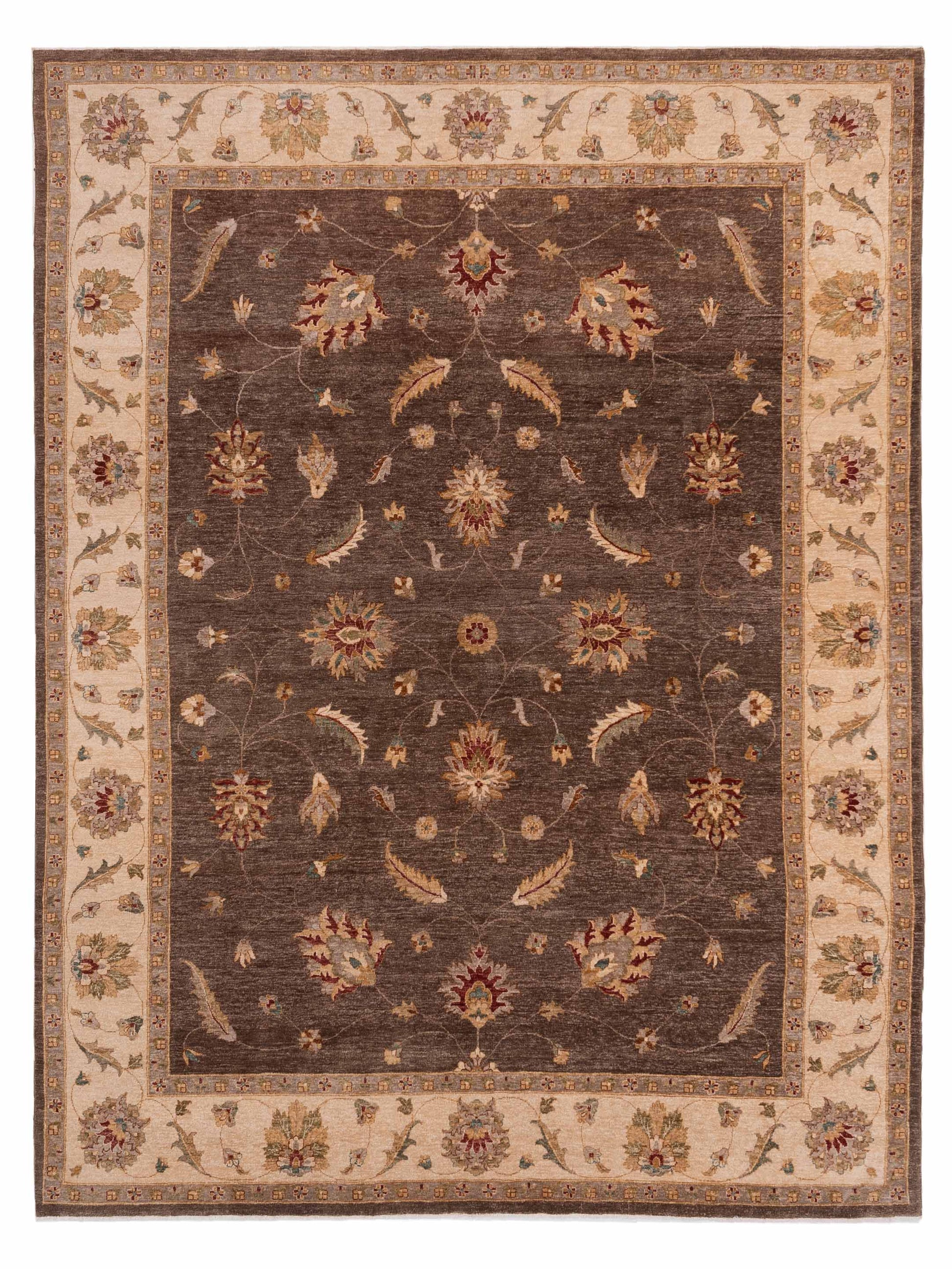 Rajpur Ghazani  Brown Ivory Transitional