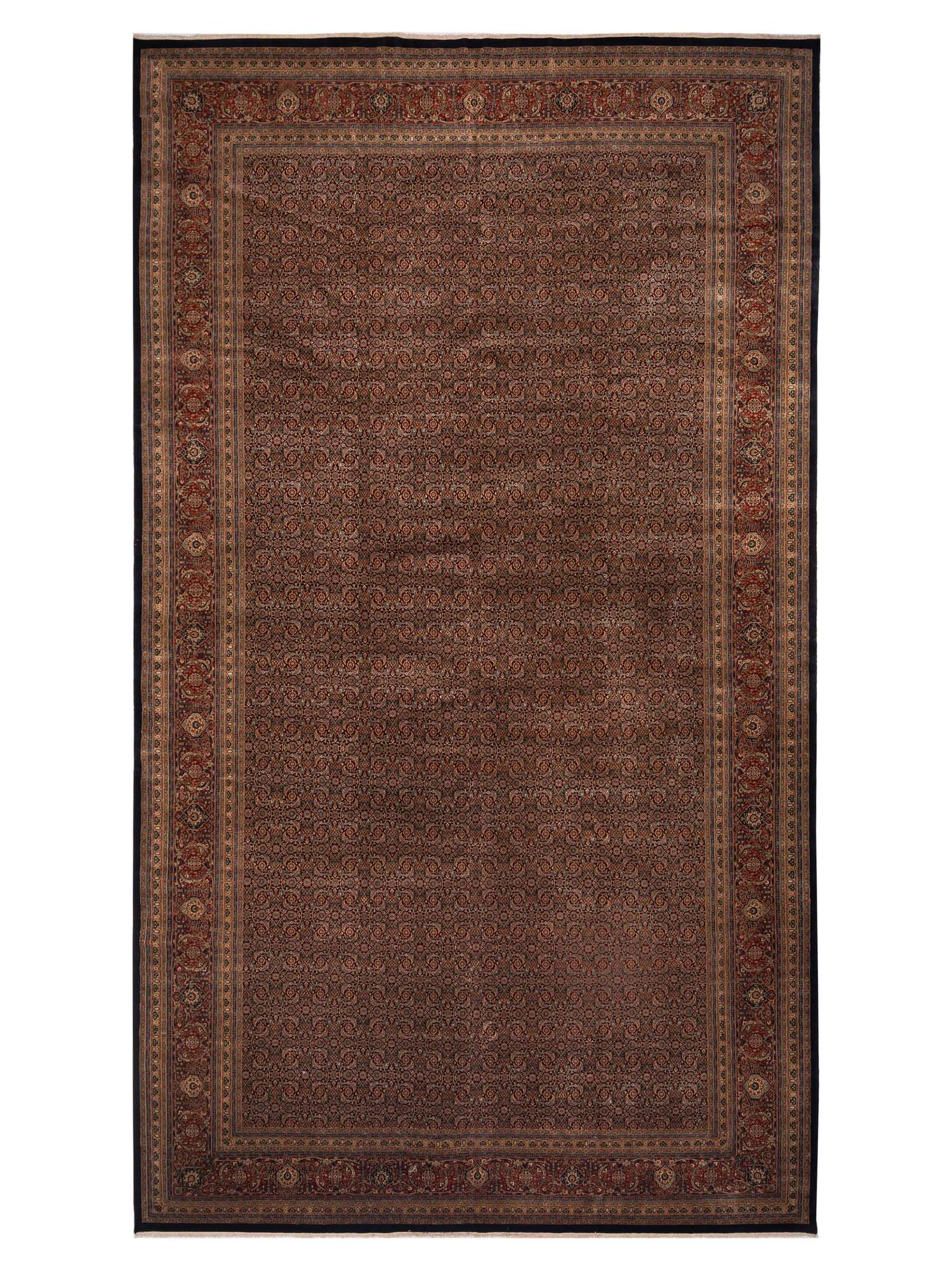Rajpur Crown  Black Red Transitional