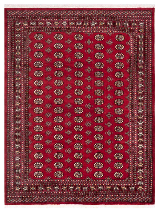 Nomad Bokhara  Red Red Traditional