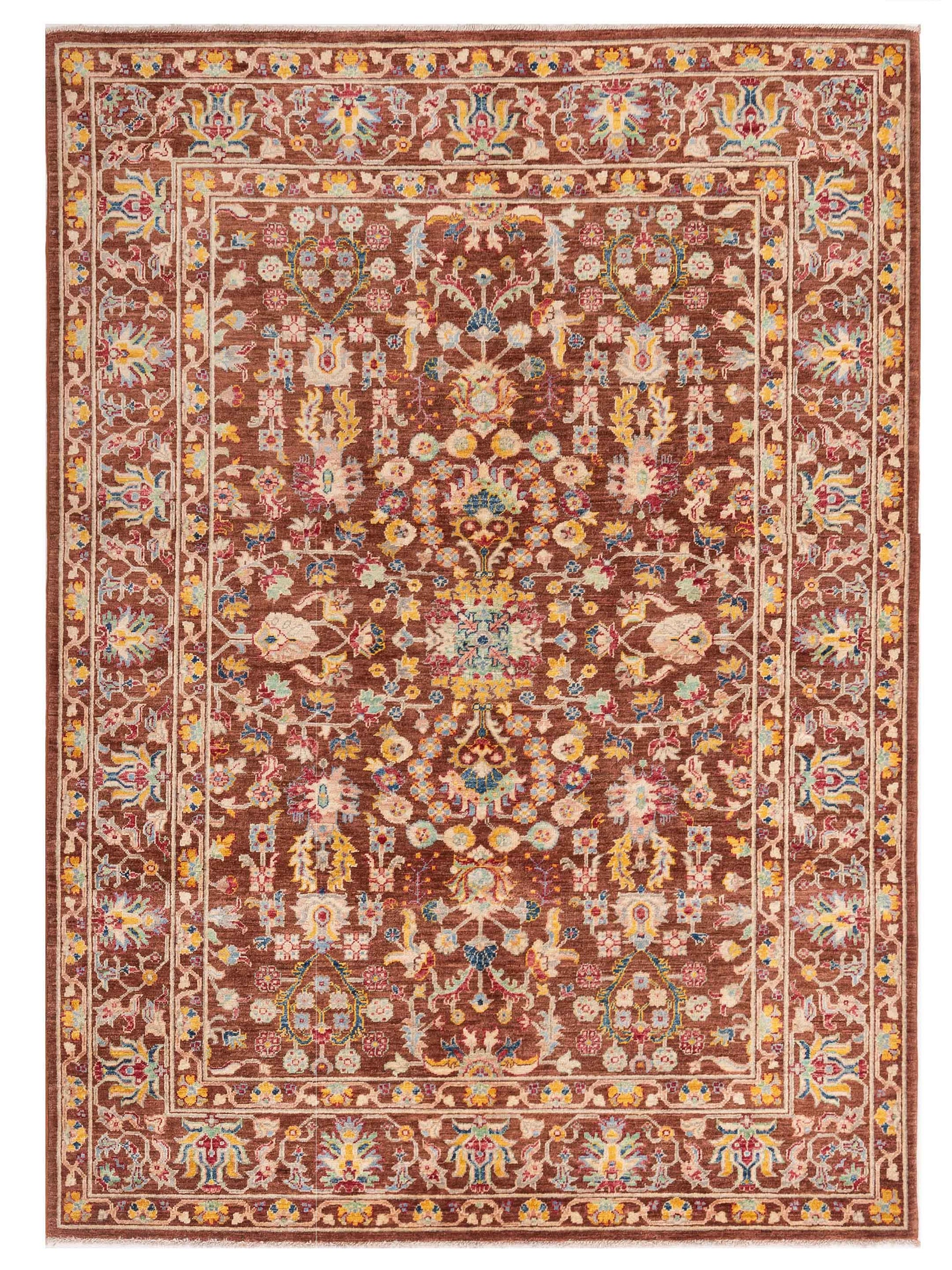 Pasha Sultan  Brown Brown Traditional