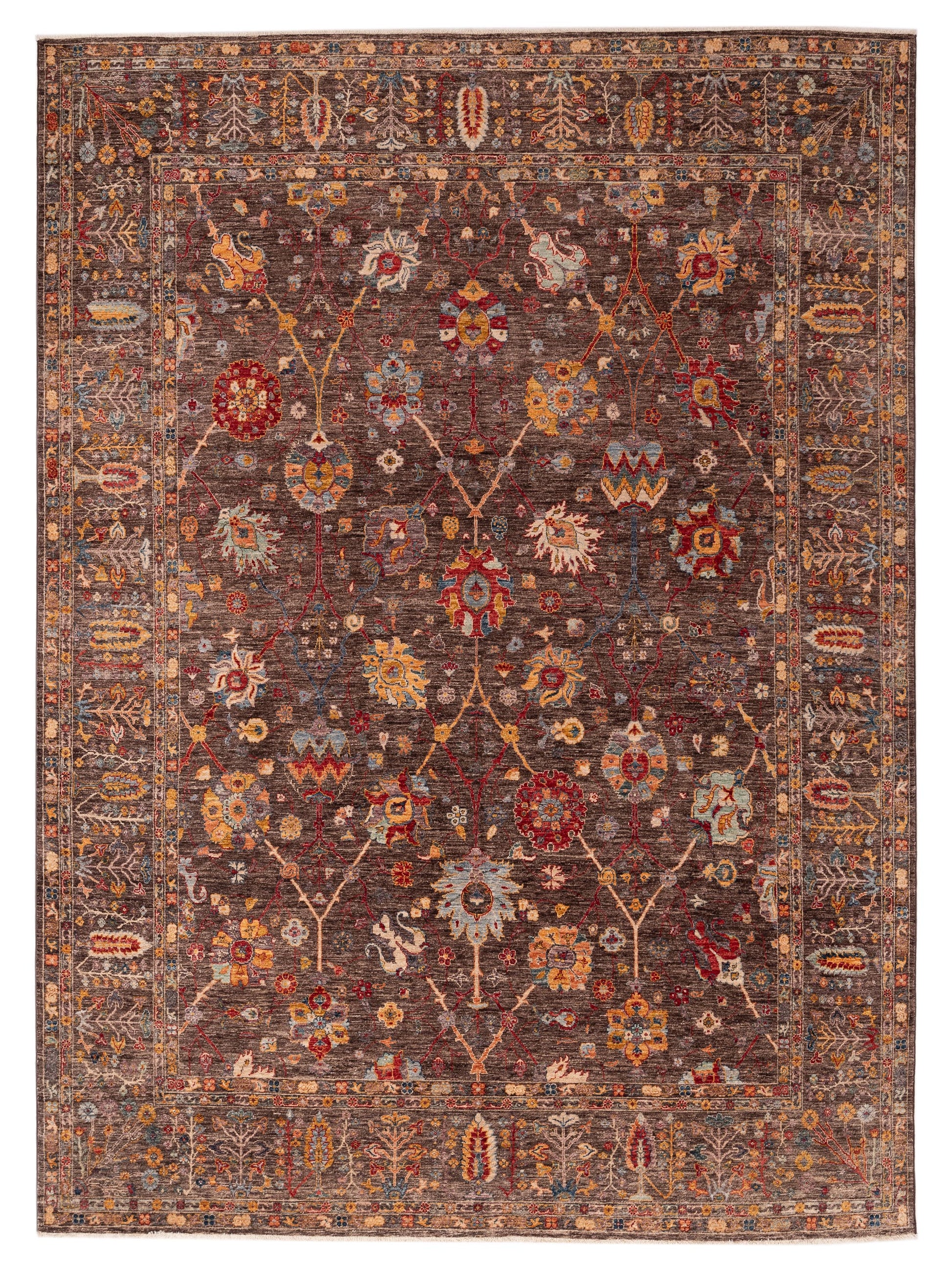 Pasha Elvan  Brown Brown Transitional