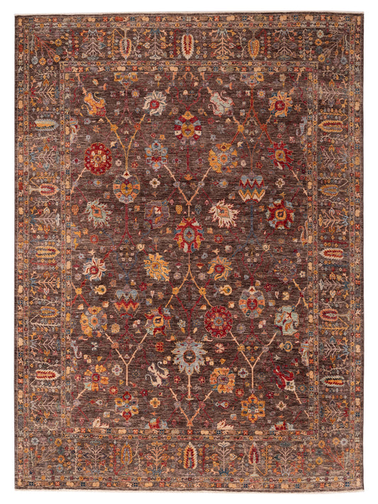 Pasha Elvan  Brown Brown Transitional