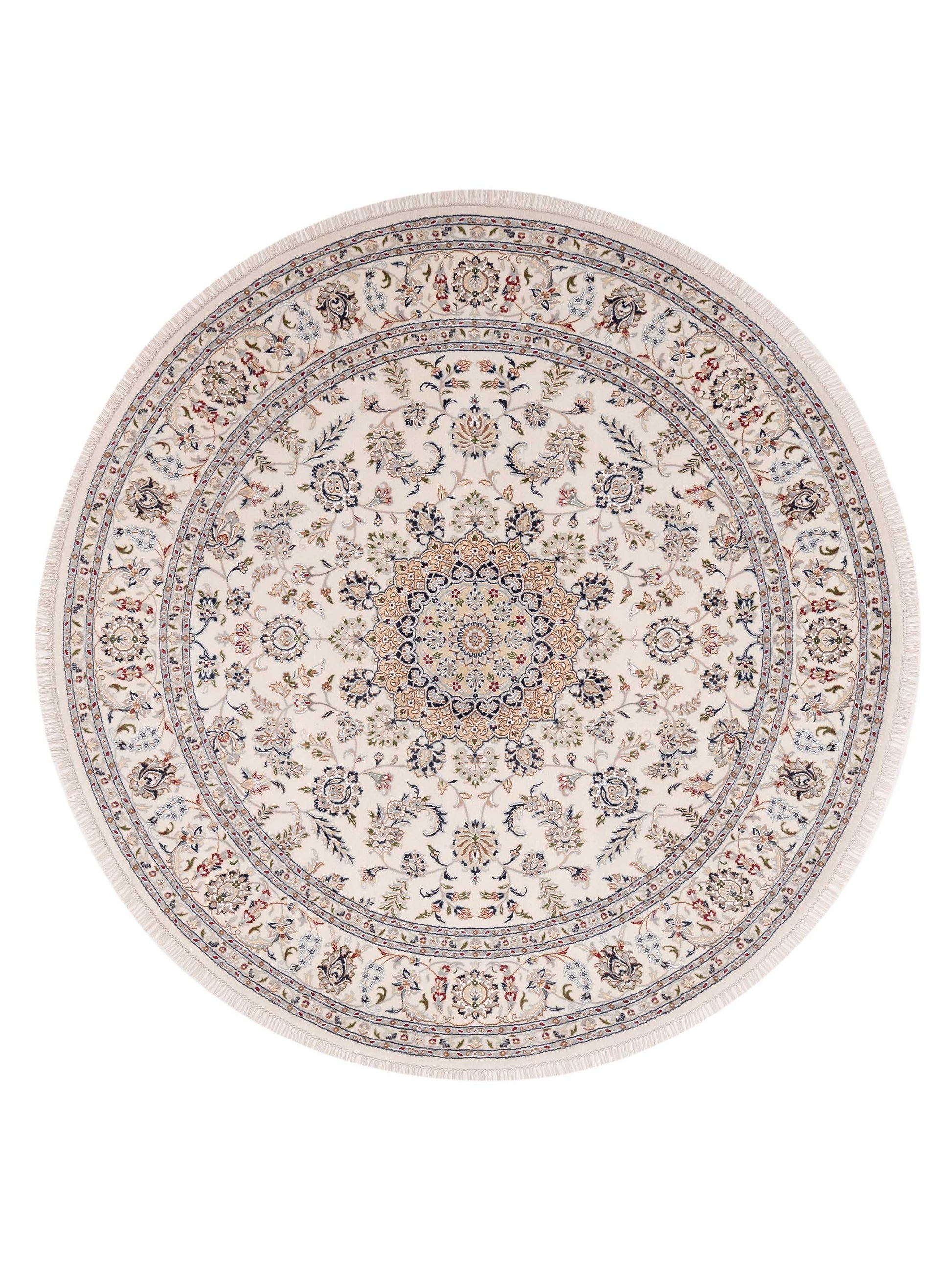 Rajpur Nain  Ivory Ivory Traditional