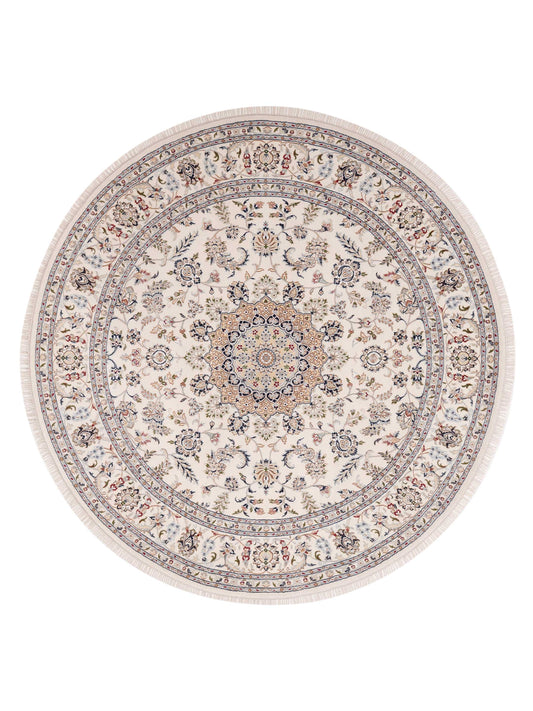 Rajpur Nain  Ivory Ivory Traditional