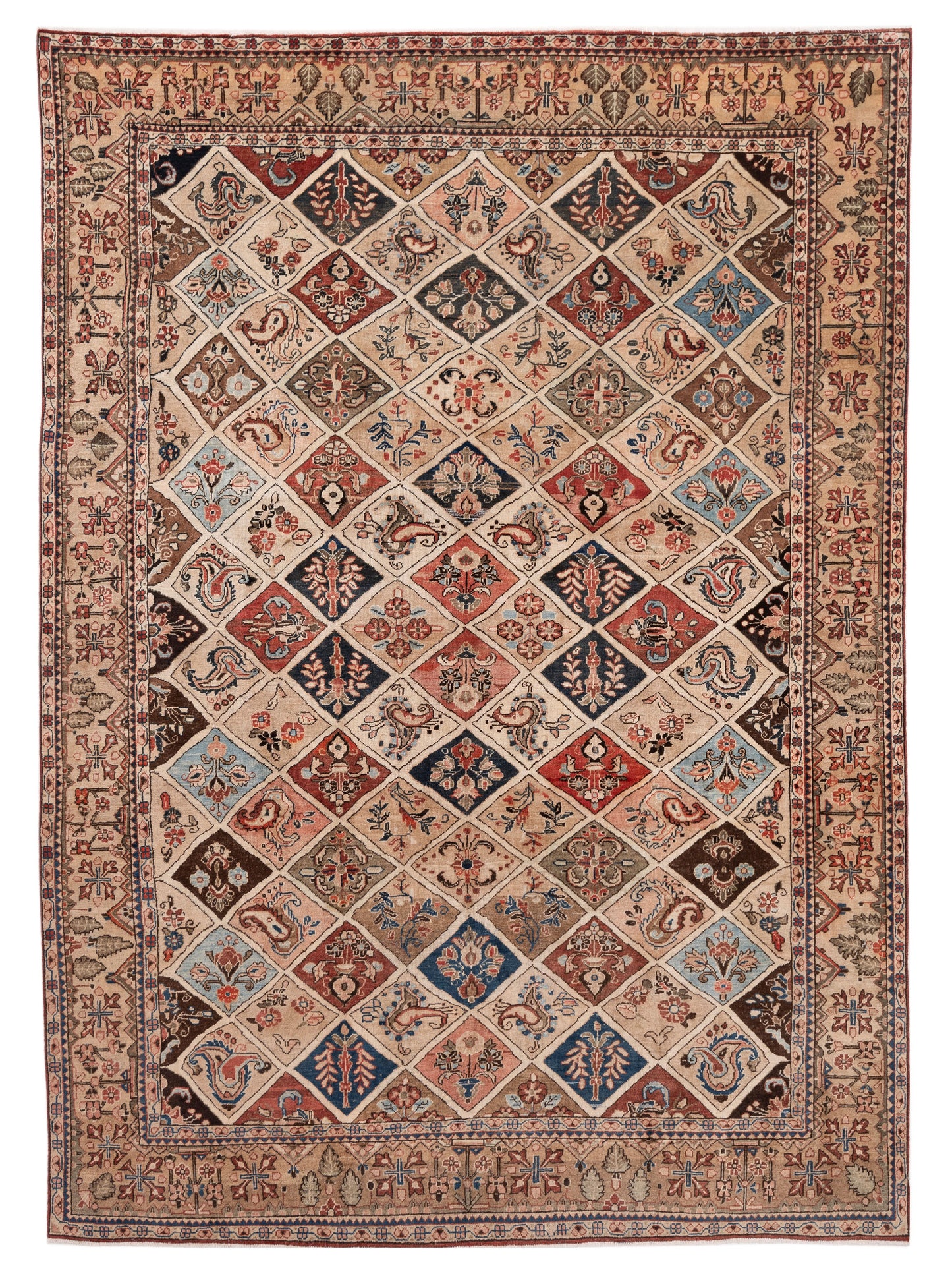 Pasha Persian  Multi Multi Traditional