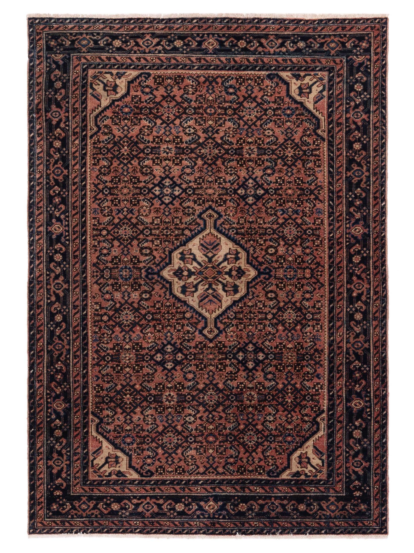 Pasha Persian  Pink Navy Traditional