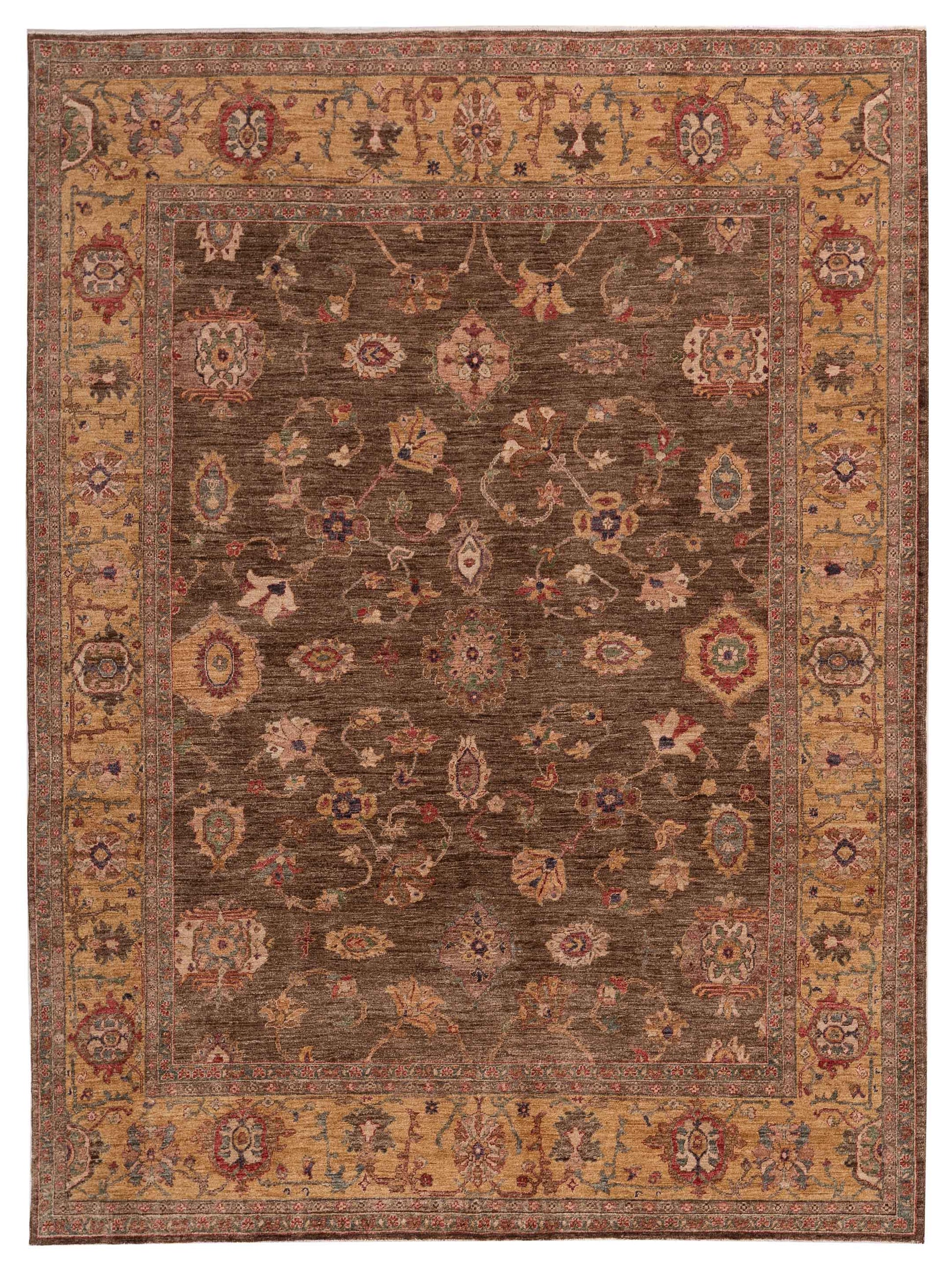 Pasha Elvan  Brown Gold Transitional