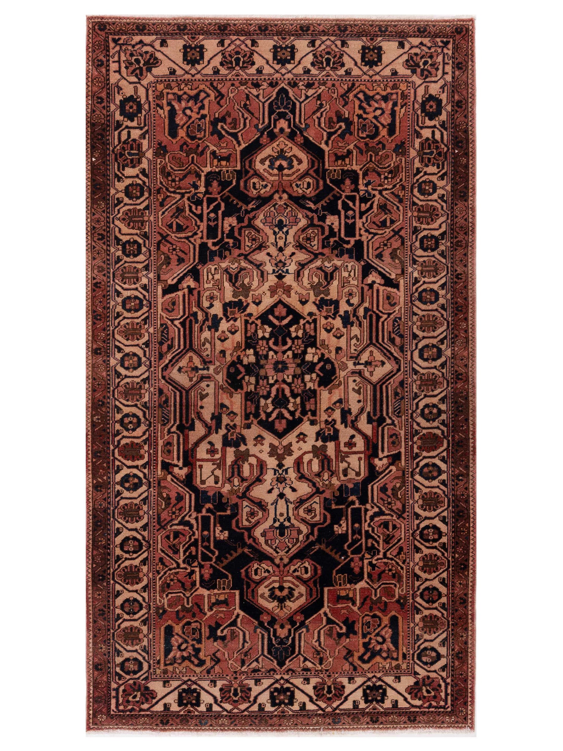 Pasha Persian  Rust Ivory Traditional