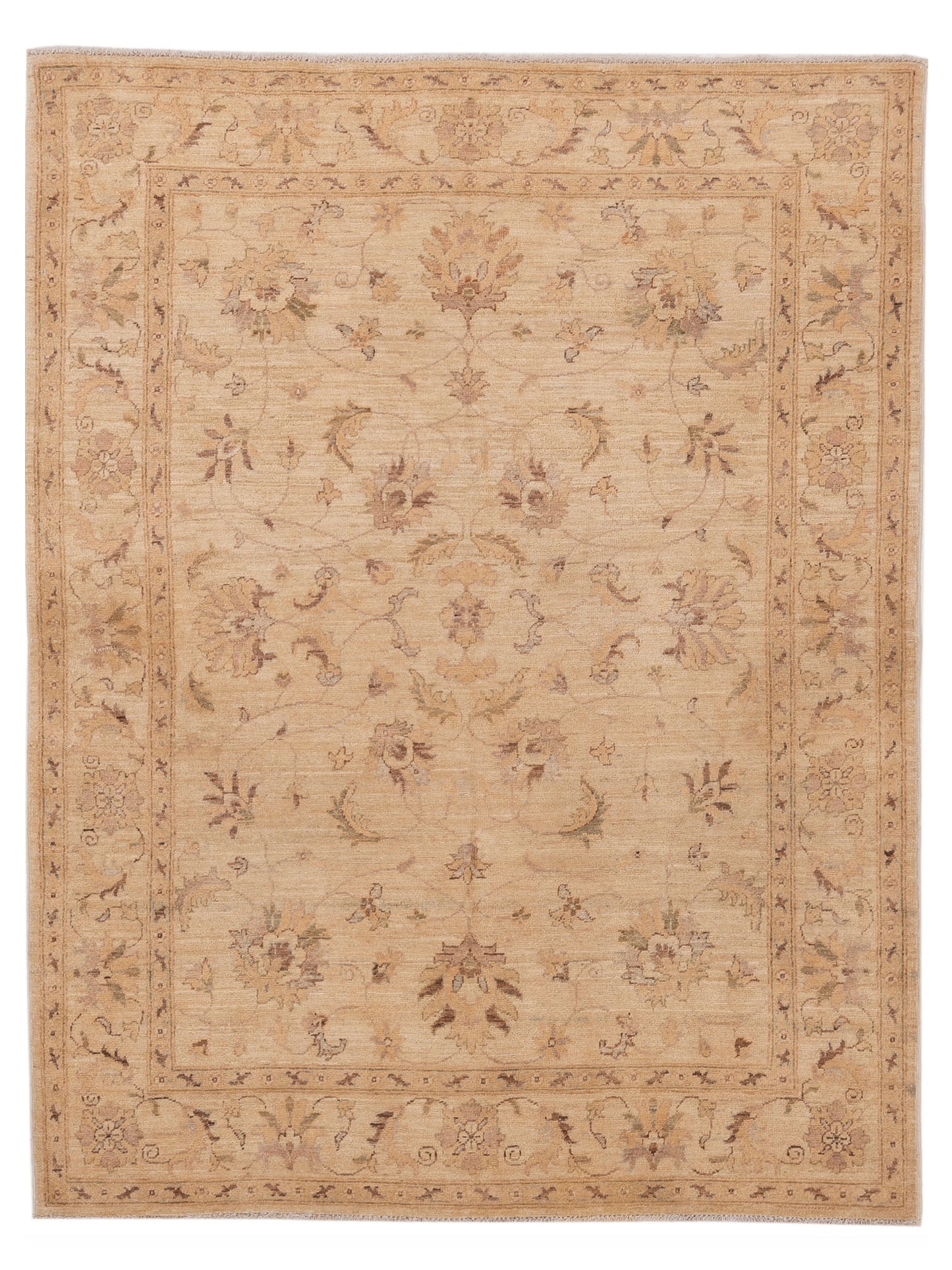 Pasha Sultan  Ivory Ivory Traditional