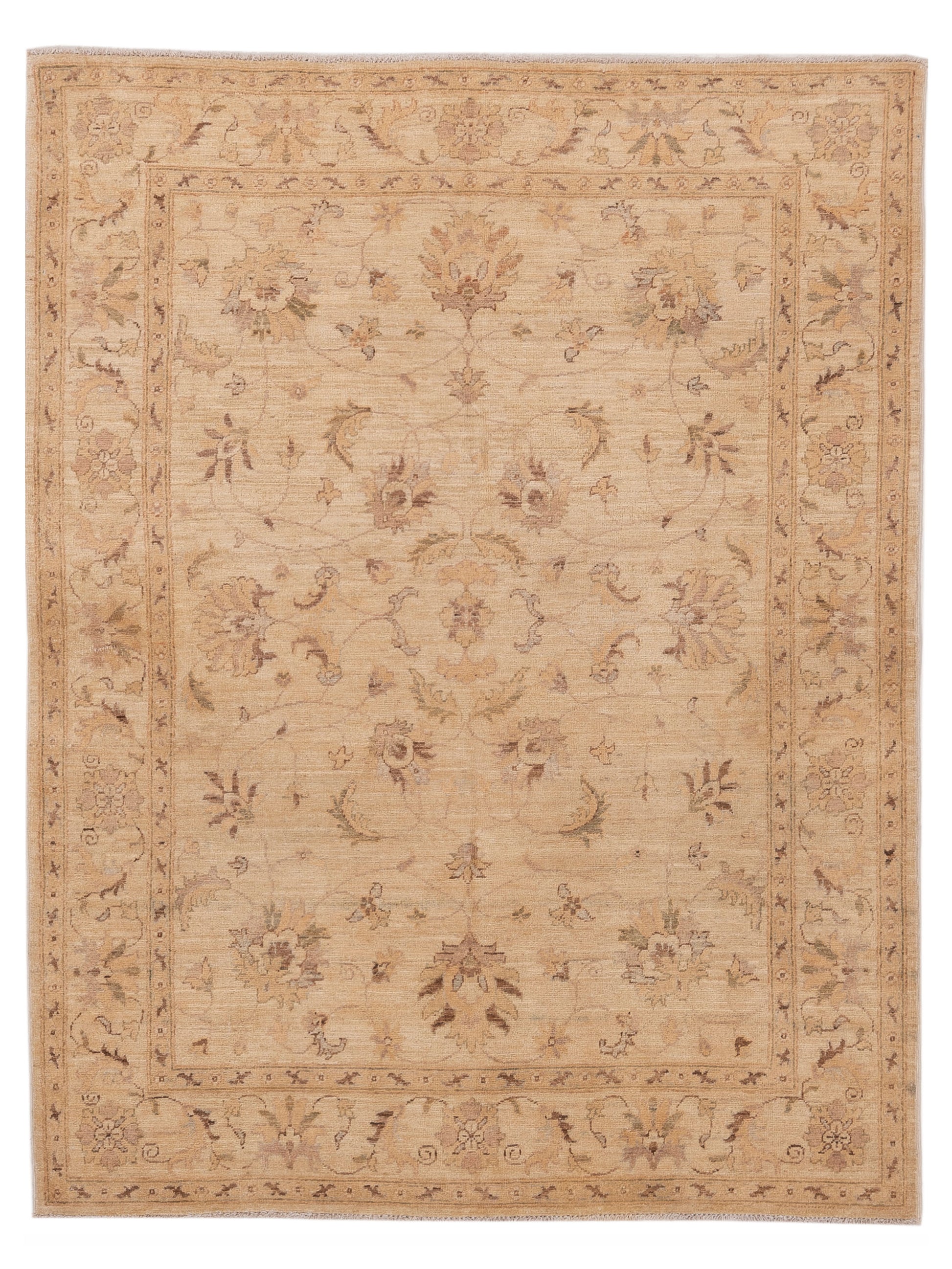 Pasha Sultan  Ivory Ivory Traditional