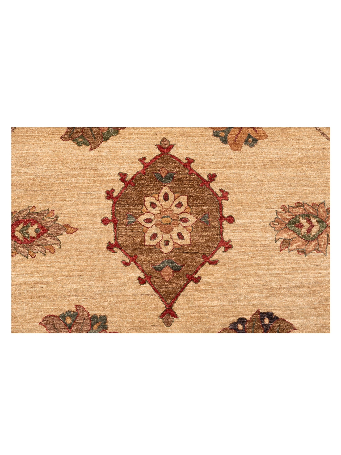 Elvan Tansu Ivory Gold 14x21.9 Hand Knotted Rug