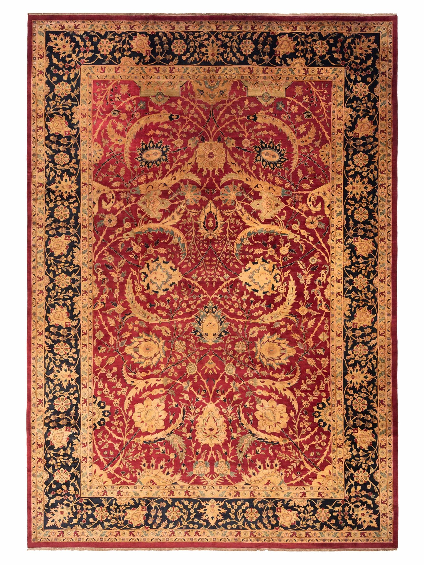 Rajpur Crown  Red Black Transitional