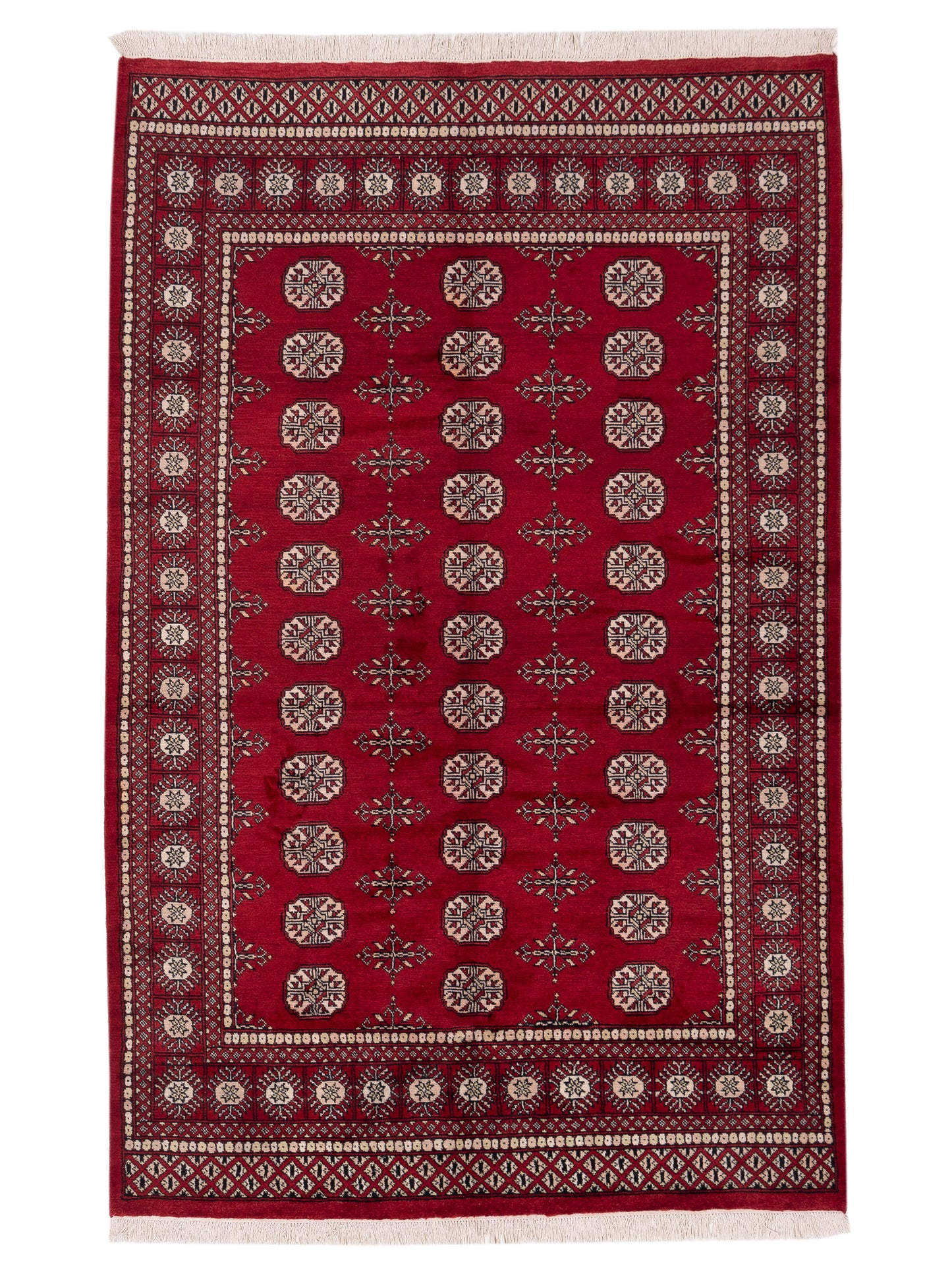 Nomad Bokhara  Red Red Traditional