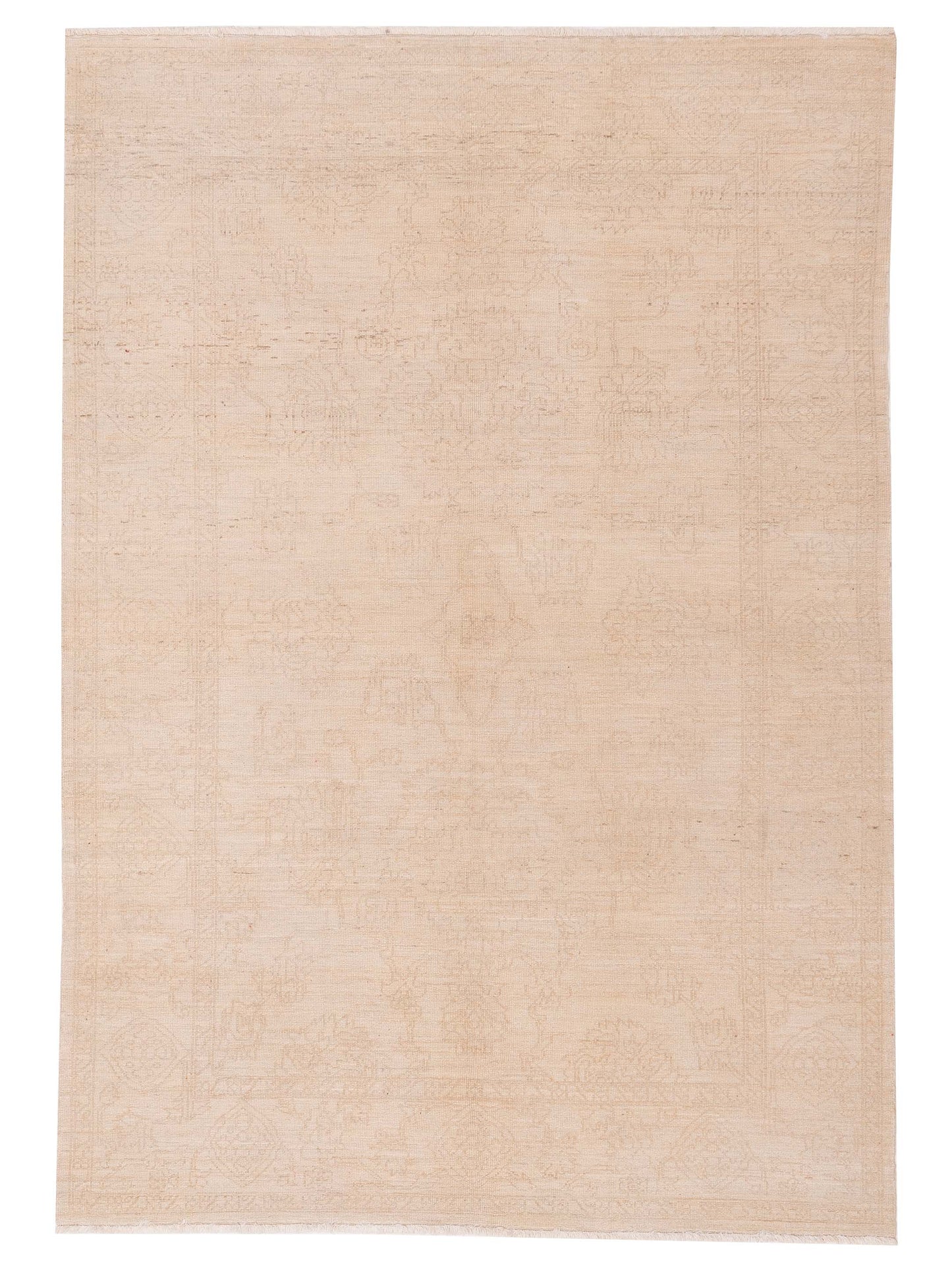 Pasha Defne  Ivory Dark Brown Transitional