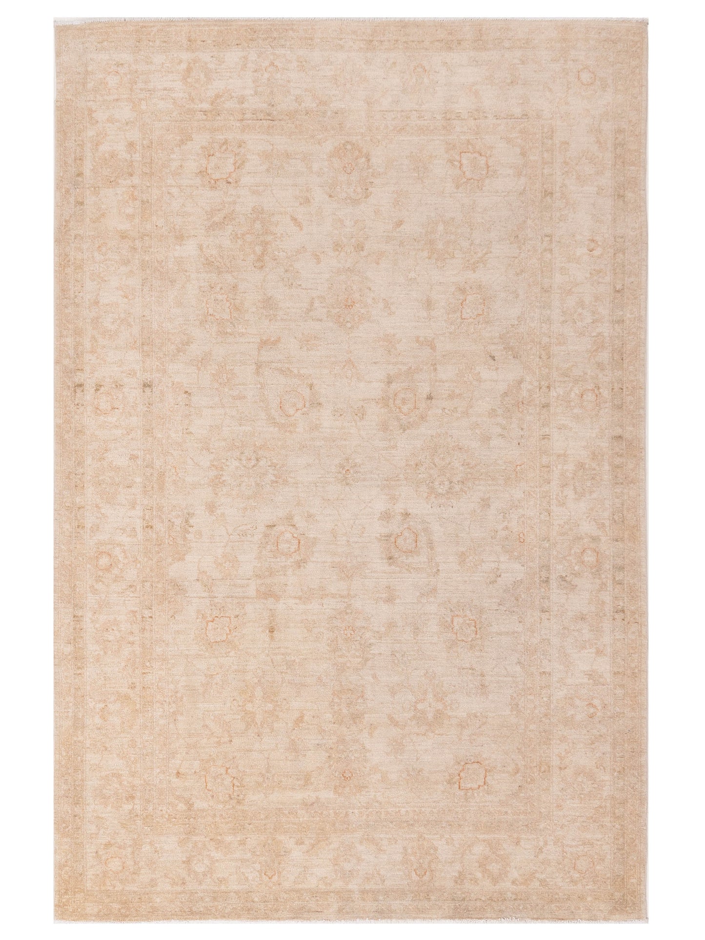 Pasha Sultan  Ivory Ivory Traditional