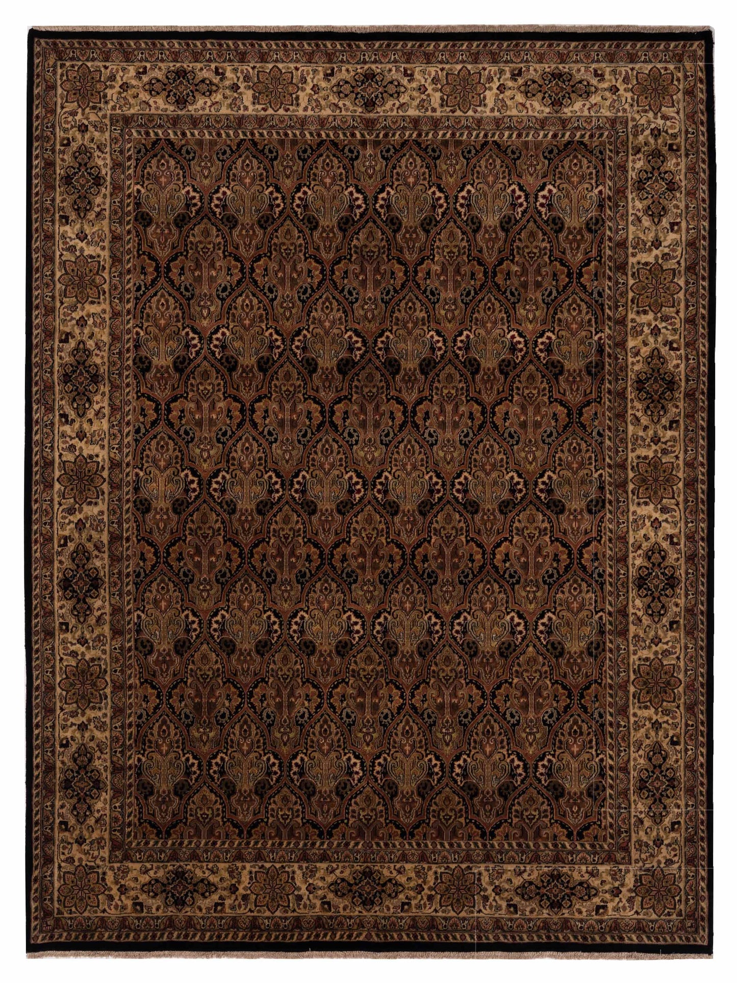 Rajpur Crown  Black Ivory Transitional