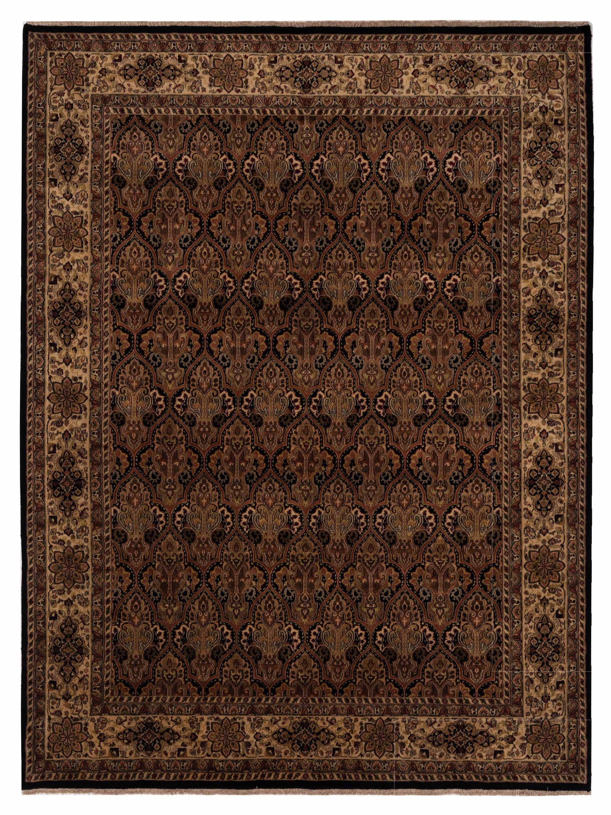 Rajpur Crown  Black Ivory Transitional