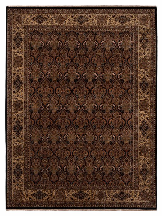 Rajpur Crown  Black Ivory Transitional