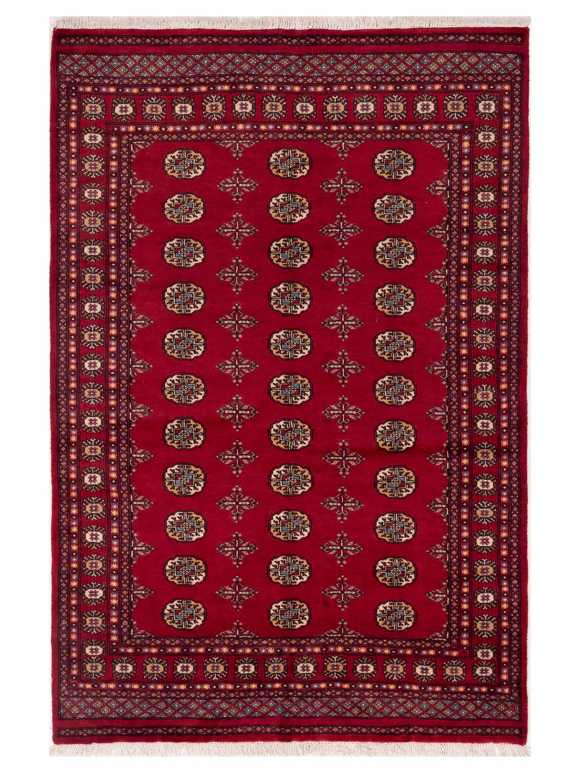 Nomad Bokhara  Red Red Traditional