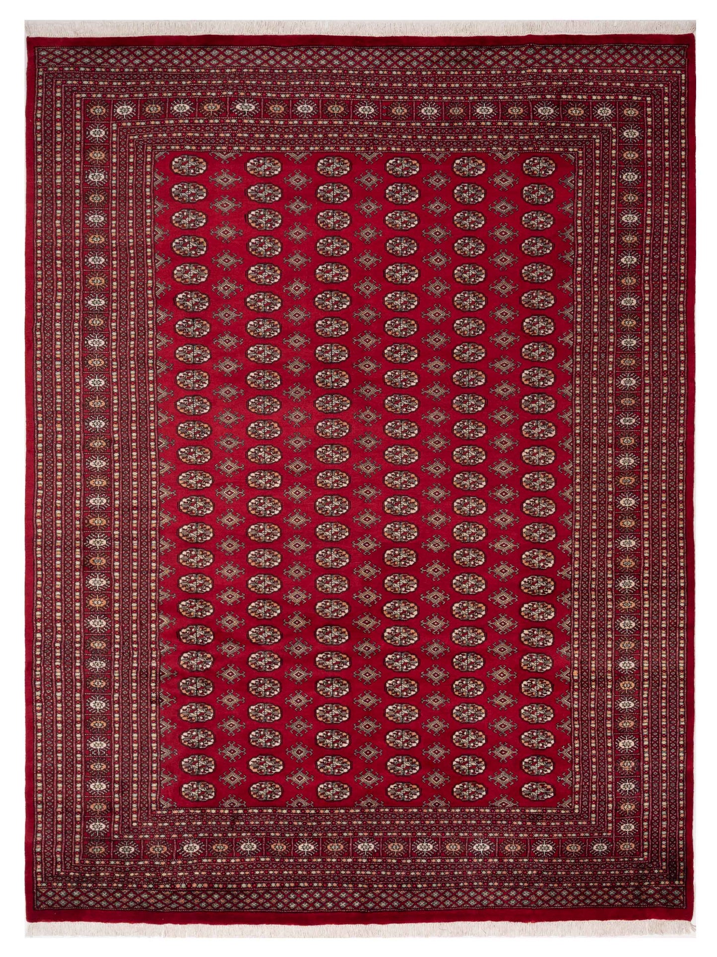 Nomad Bokhara  Red Red Traditional