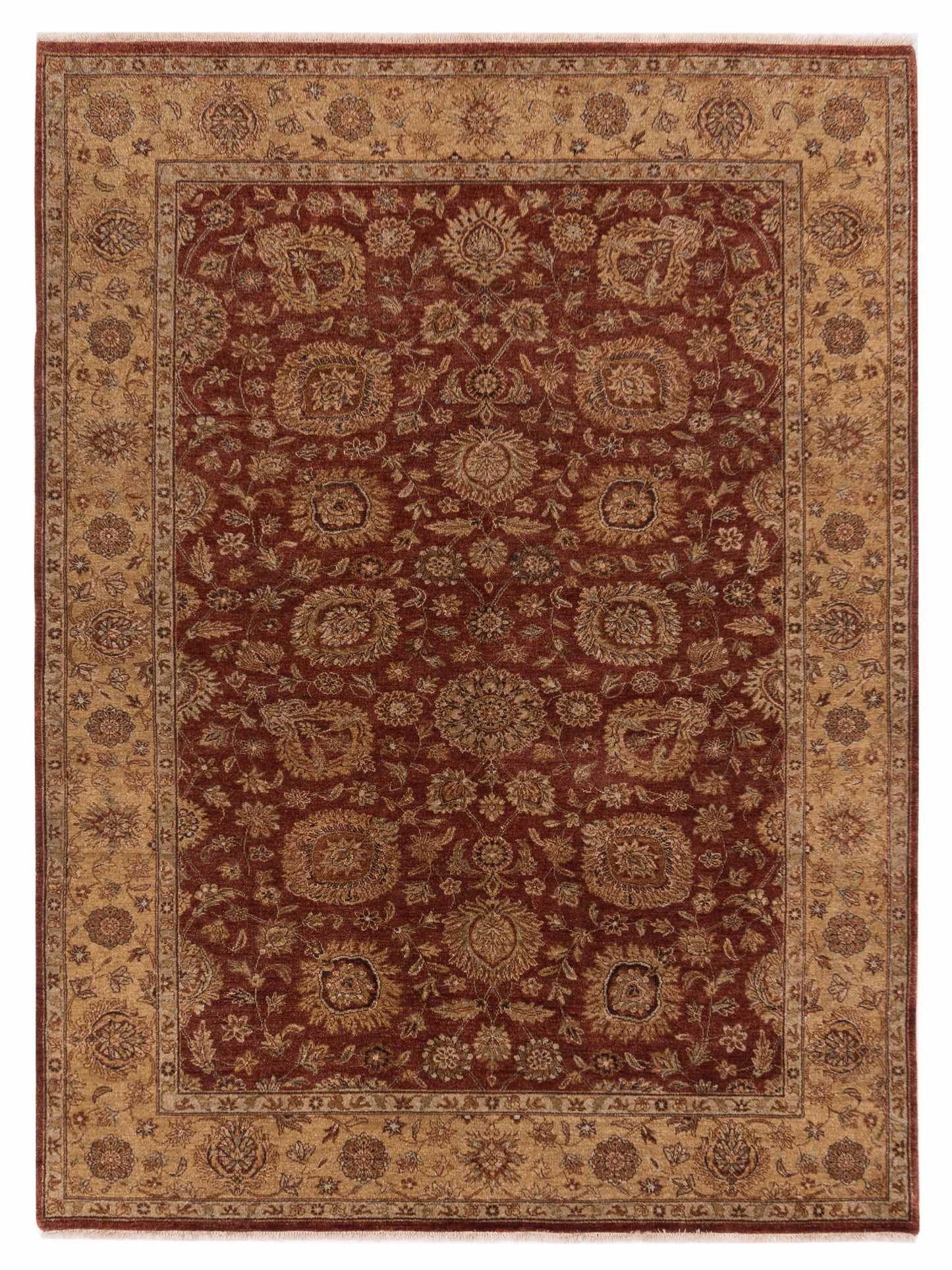 Rajpur Royal  Rust Gold Traditional