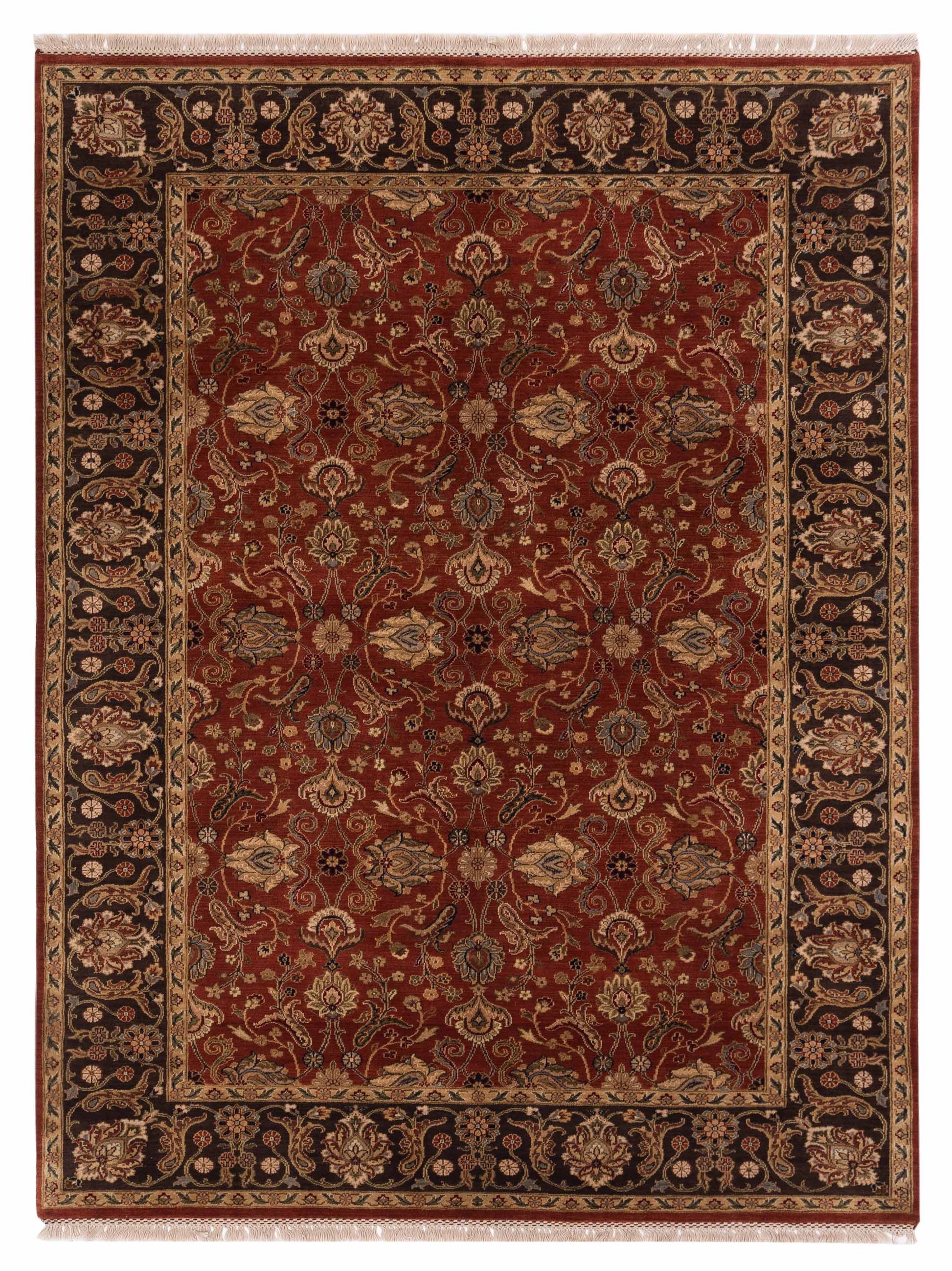 Rajpur Crown  Rust Brown Transitional