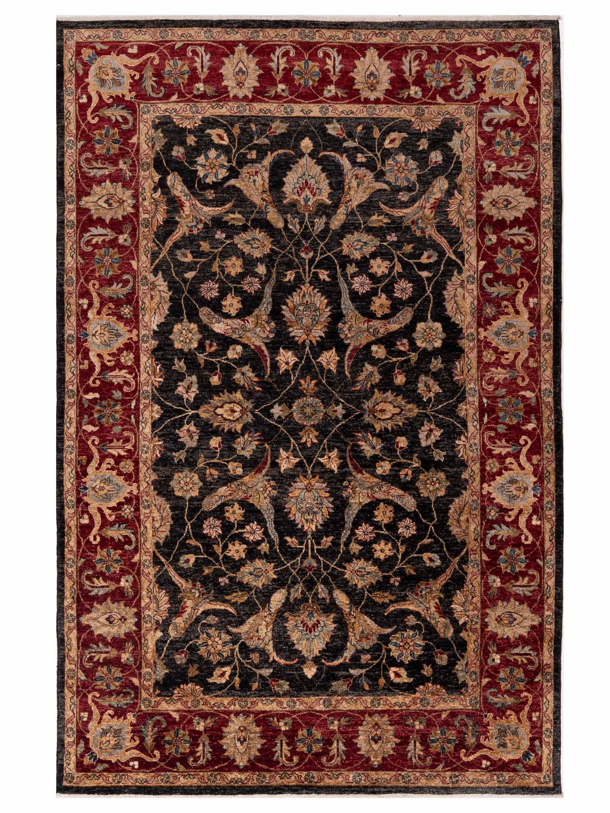 Rajpur Ghazani  Black Red Traditional