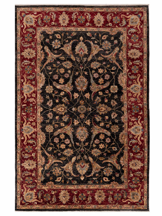 Rajpur Ghazani  Black Red Traditional