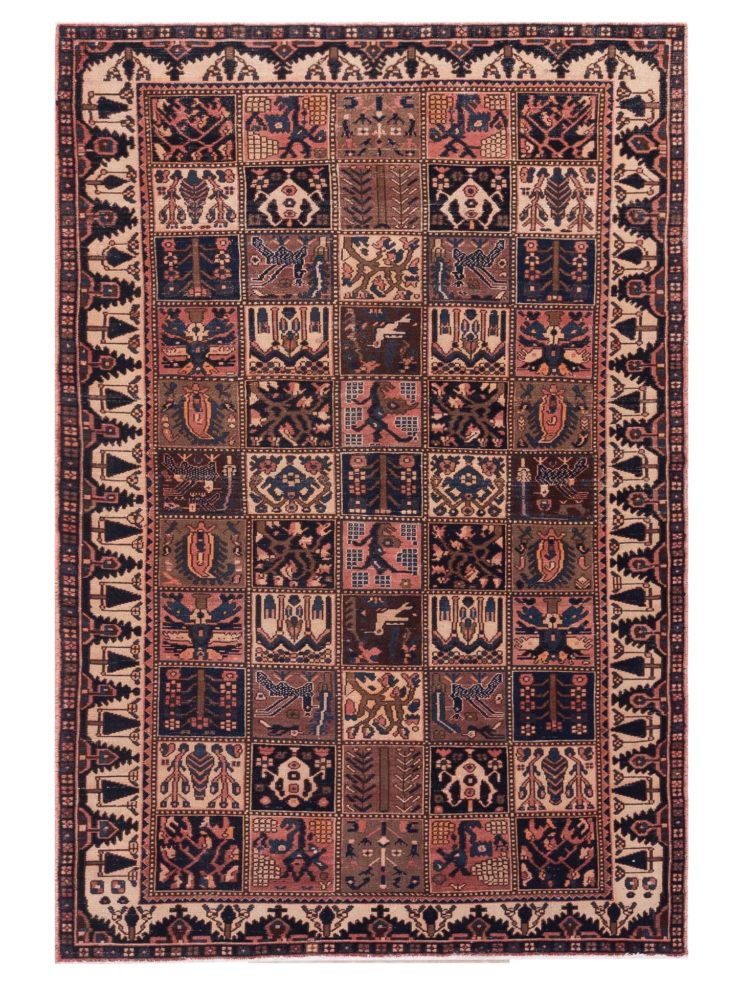 Pasha Persian  Multi Multi Traditional