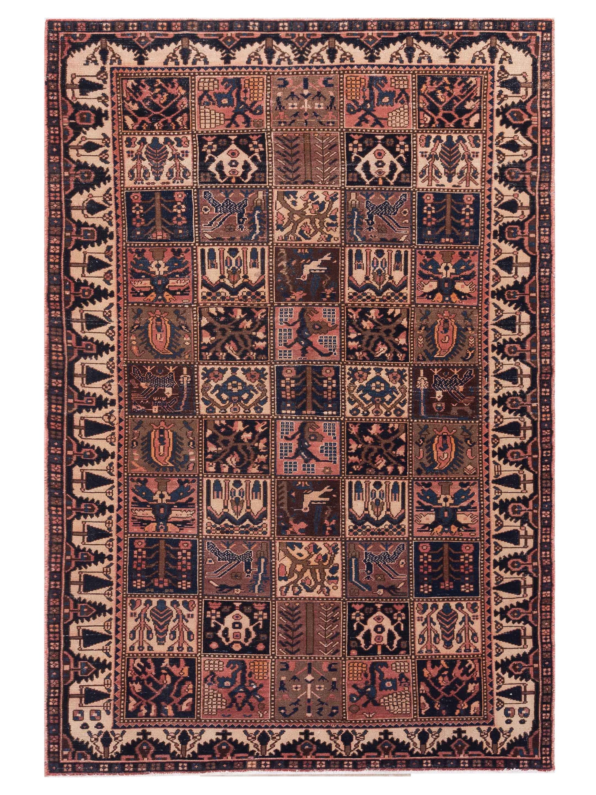 Pasha Persian  Multi Multi Traditional