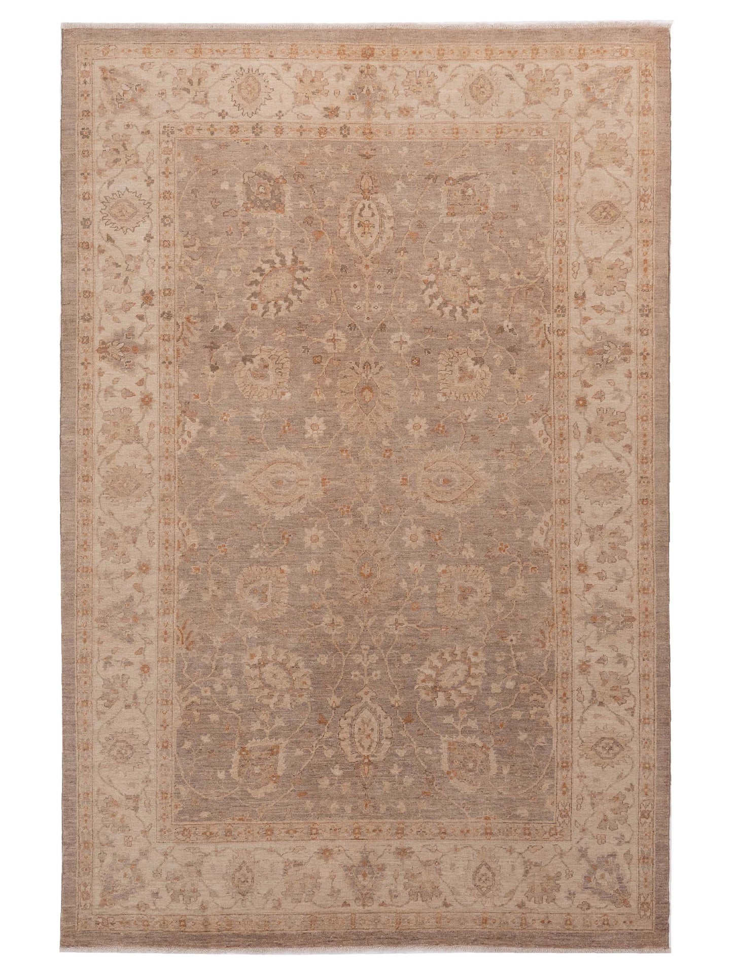 Nomad Laila  Silver Ivory Transitional